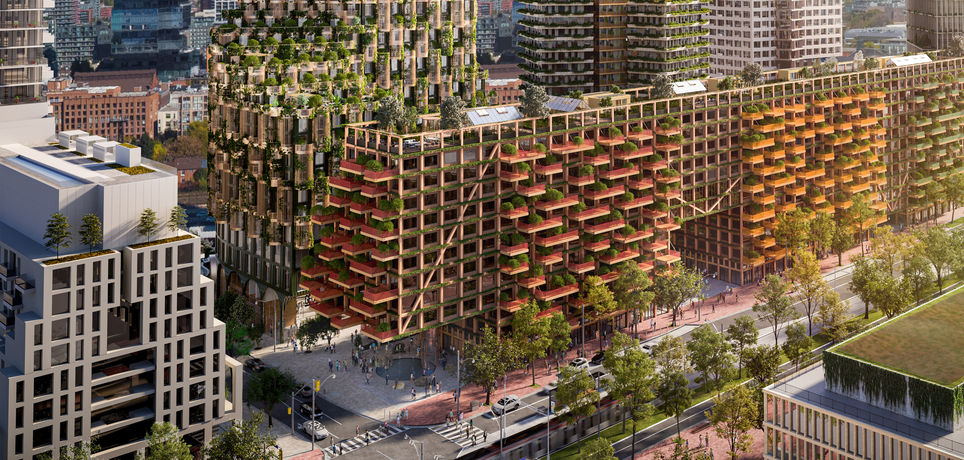TIMBER REVOLUTION：Timber House, Quayside 木造新篇章 - 拥有农场的木造大楼