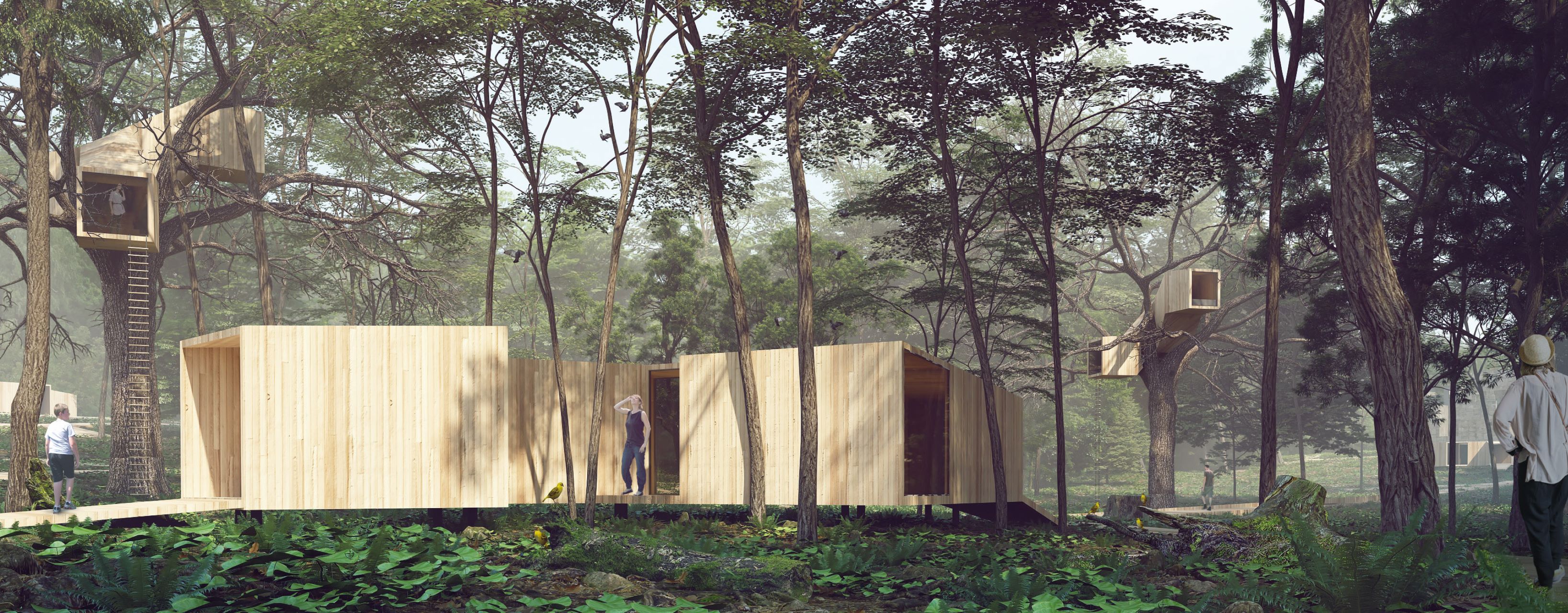 MODERN TREE HOUSES:  TREE HOUSE BY INBETWEEN SPACE STUDIO 新概念夢幻樹屋 - 在動靜間，探索森林生活