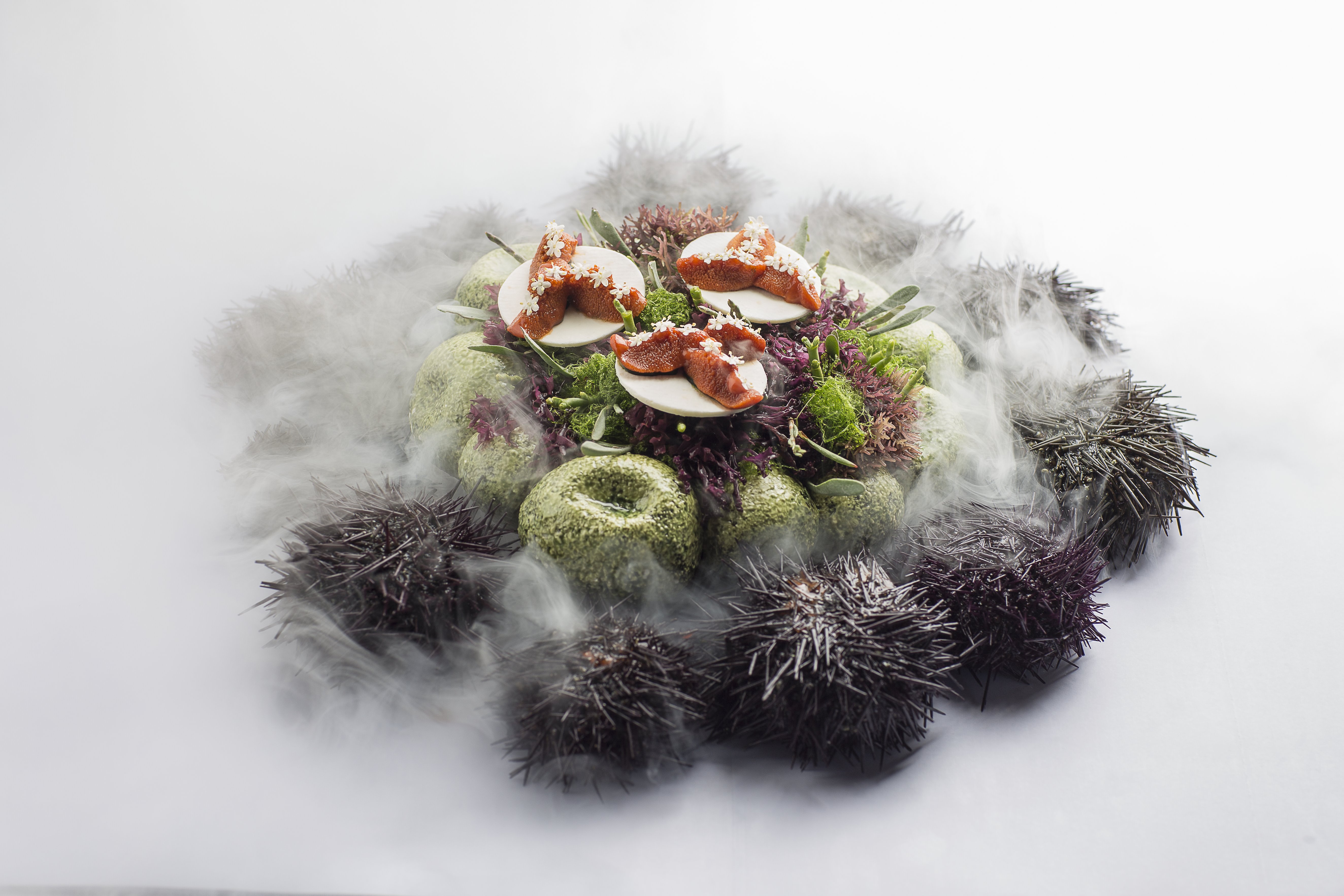 以浮游植物搭配新鮮海膽和海洋 蜂蜜所烹調出的 Aponiente 獨家料理。