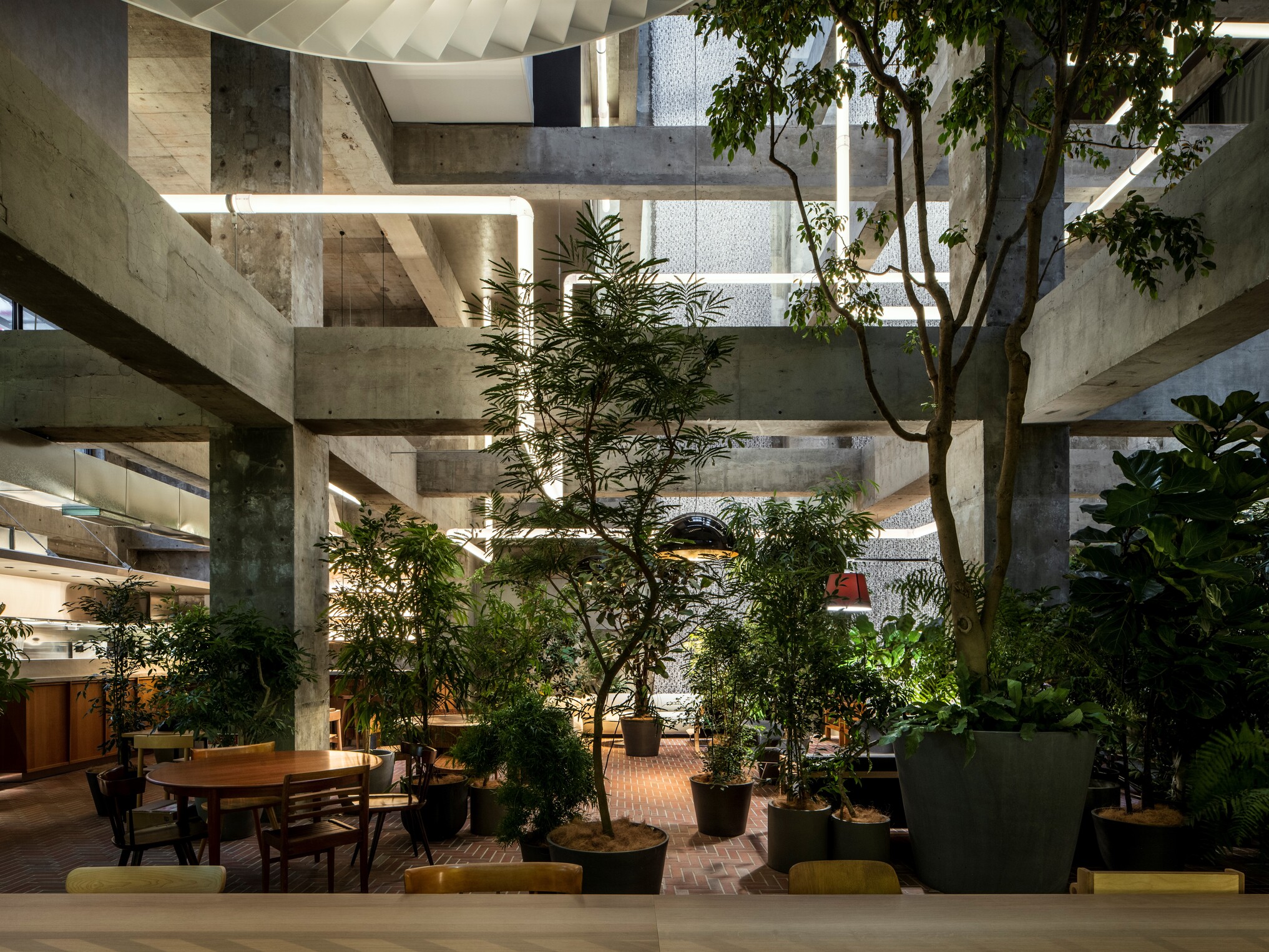 Embrace Nature: Shiroiya Hotel 想像自然，怀抱绿色意境 - 城市里的绿色山丘旅馆