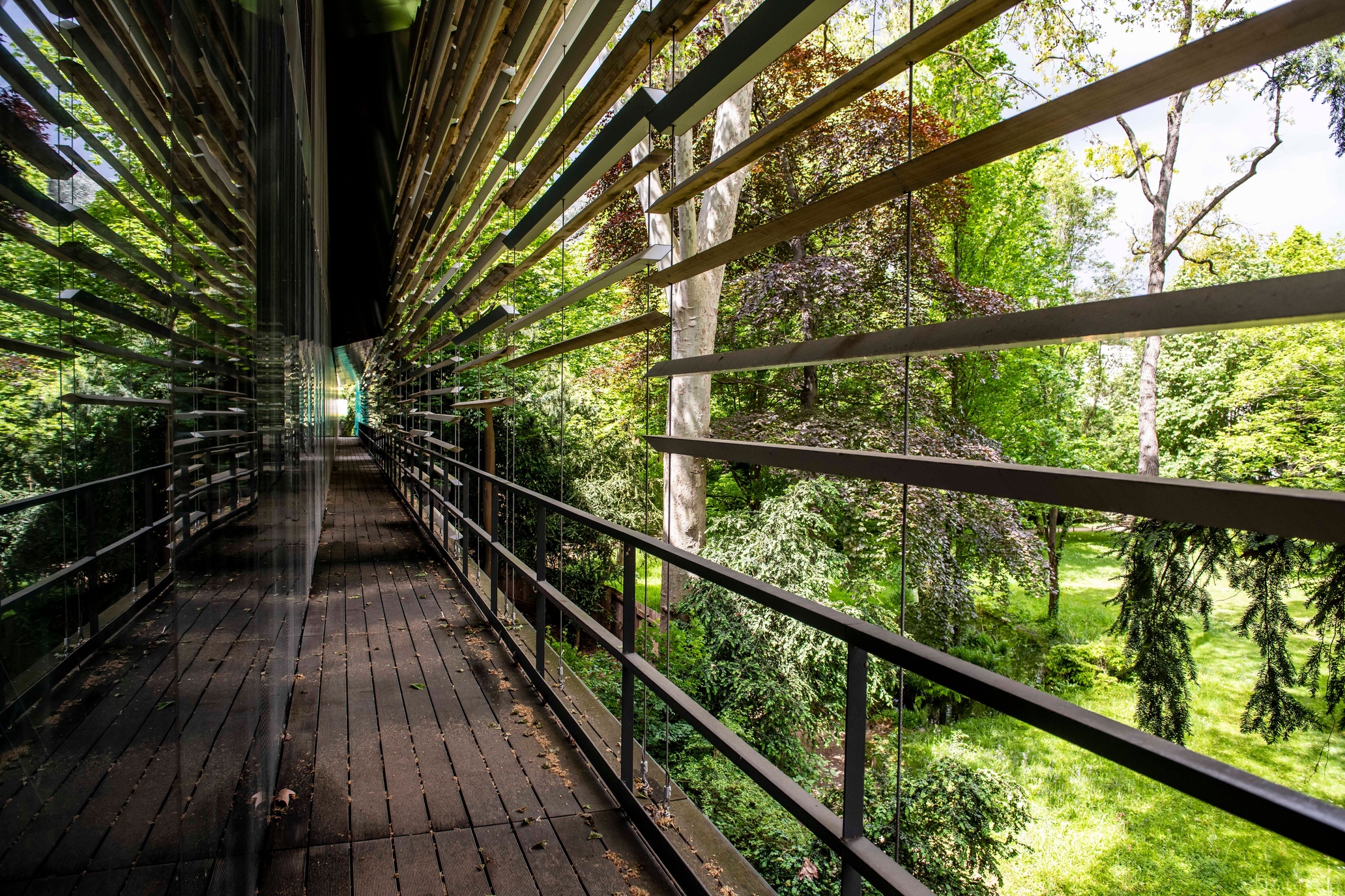 Albert Kahn Museum 新館以玻璃牆幕搭配百業式木簾幕，形成室內外空間的過渡間隙，同時讓展館與花園景觀自然相融。(Photo by Michel Denance)