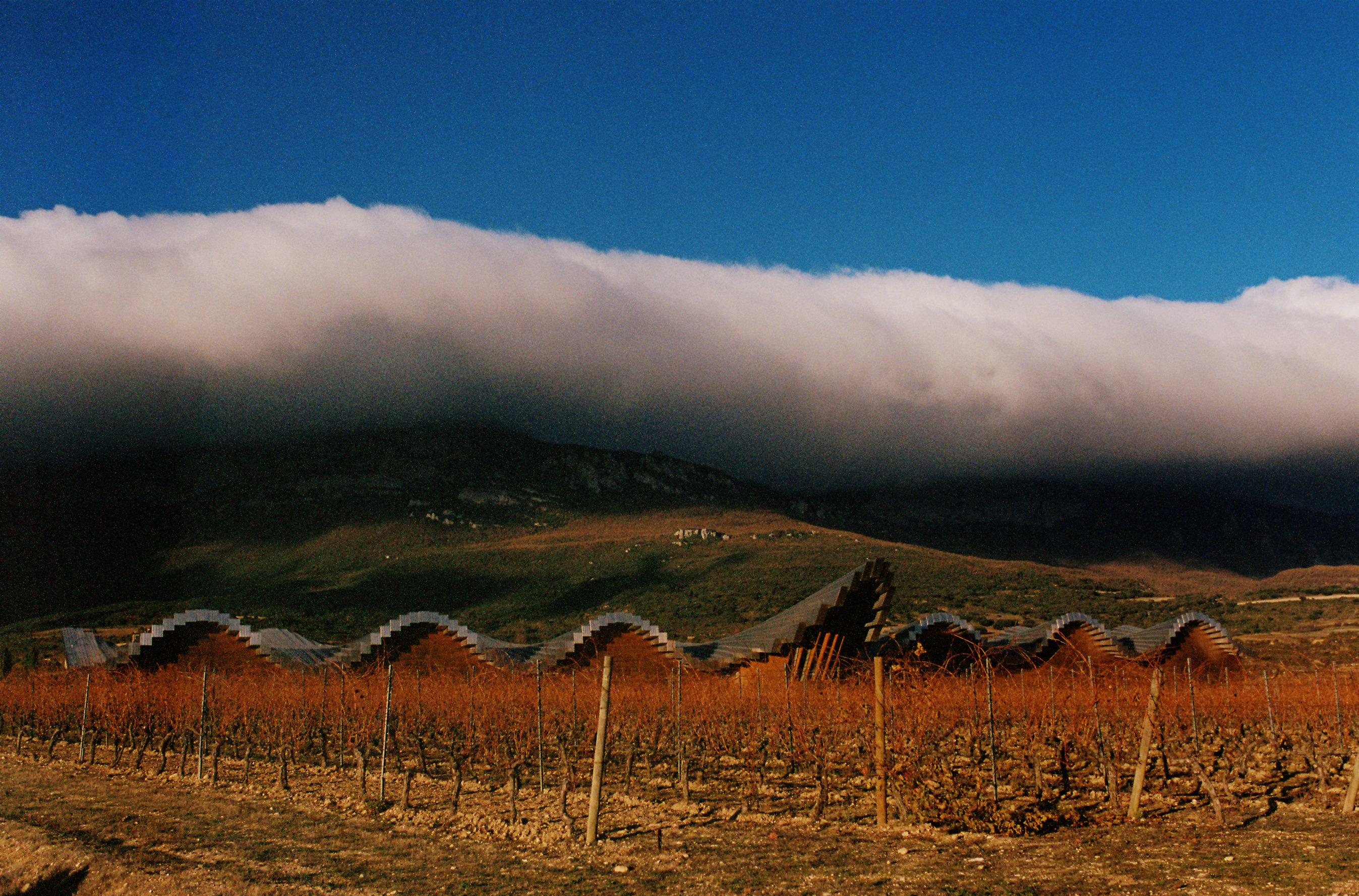 如同連綿群山般起伏的 Bodegas Ysios Winery。