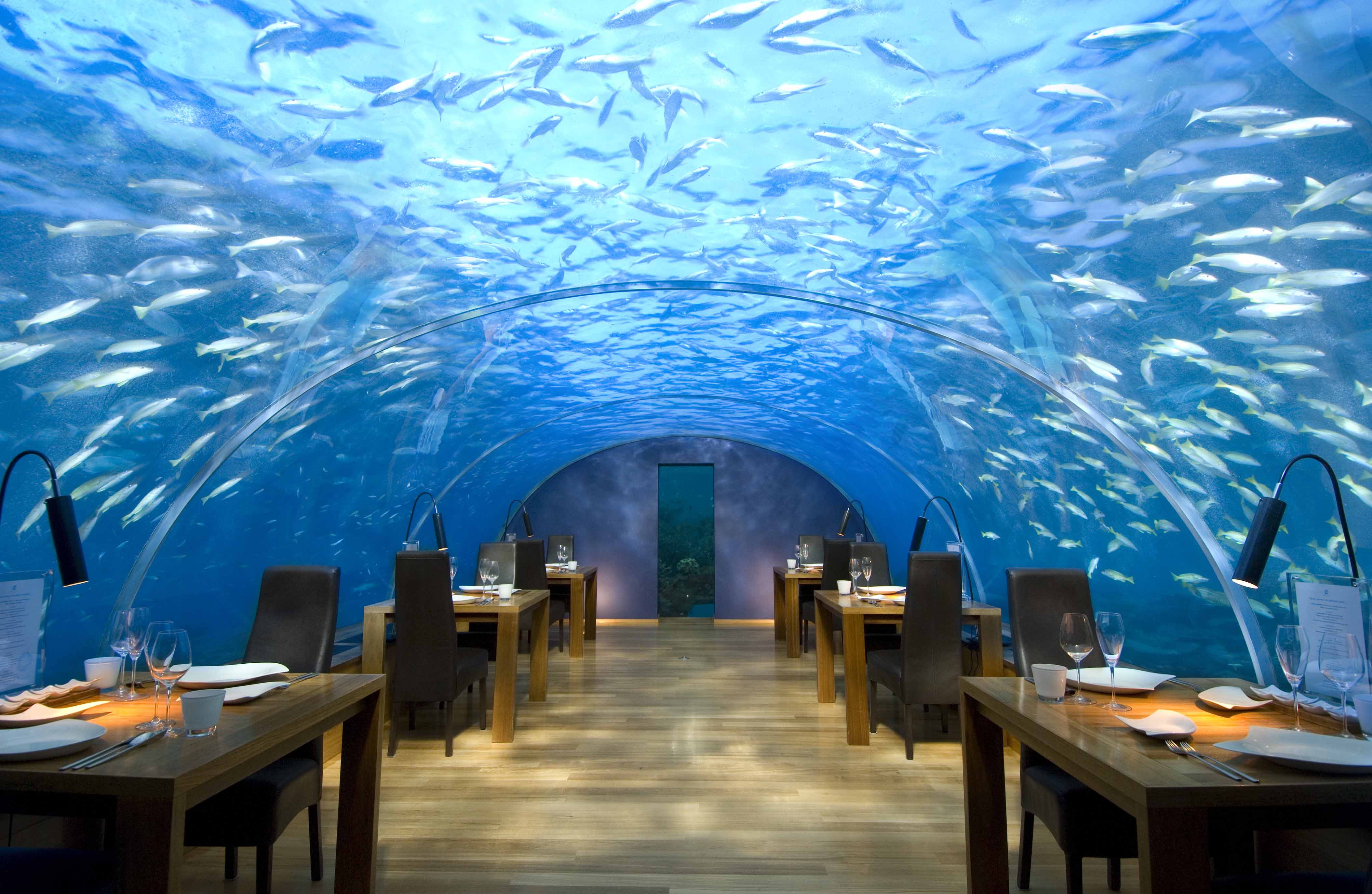 Most Unusual Restaurants in the World: Ithaa 獨樹一幟 奇景餐廳 - 馬爾地夫│全球最美餐廳