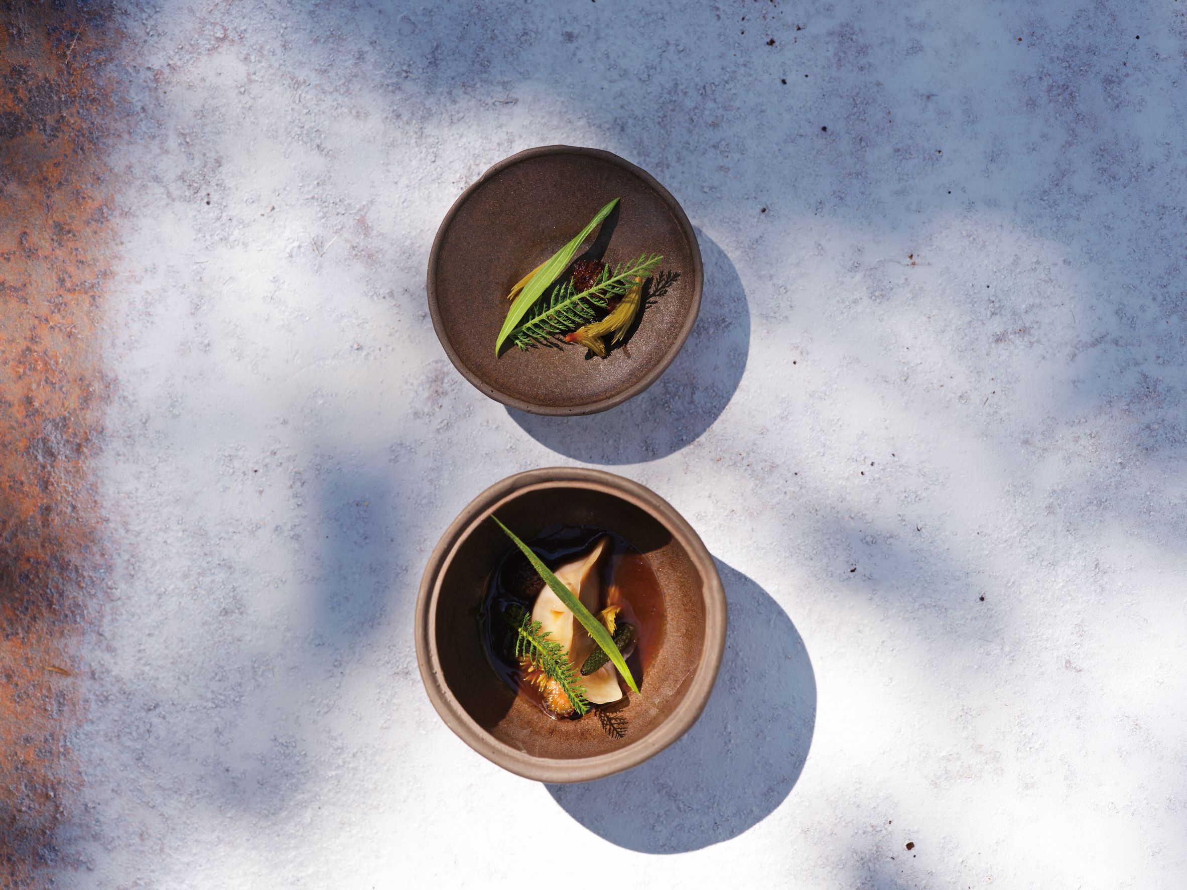 充满在地风土滋味的熊掌栗子饺子，配上 Hiša Franko 独家的森林系清汤。