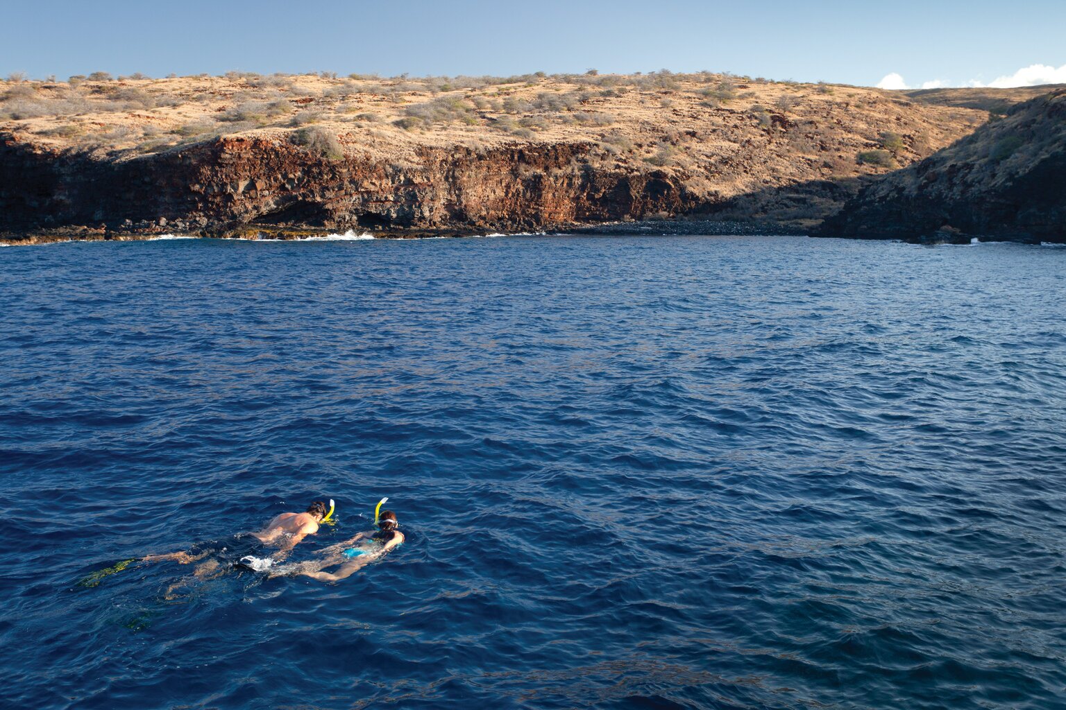 擁有清澈海水和豐富生態的拉奈島，是夏威夷著名的浮潛目的地。