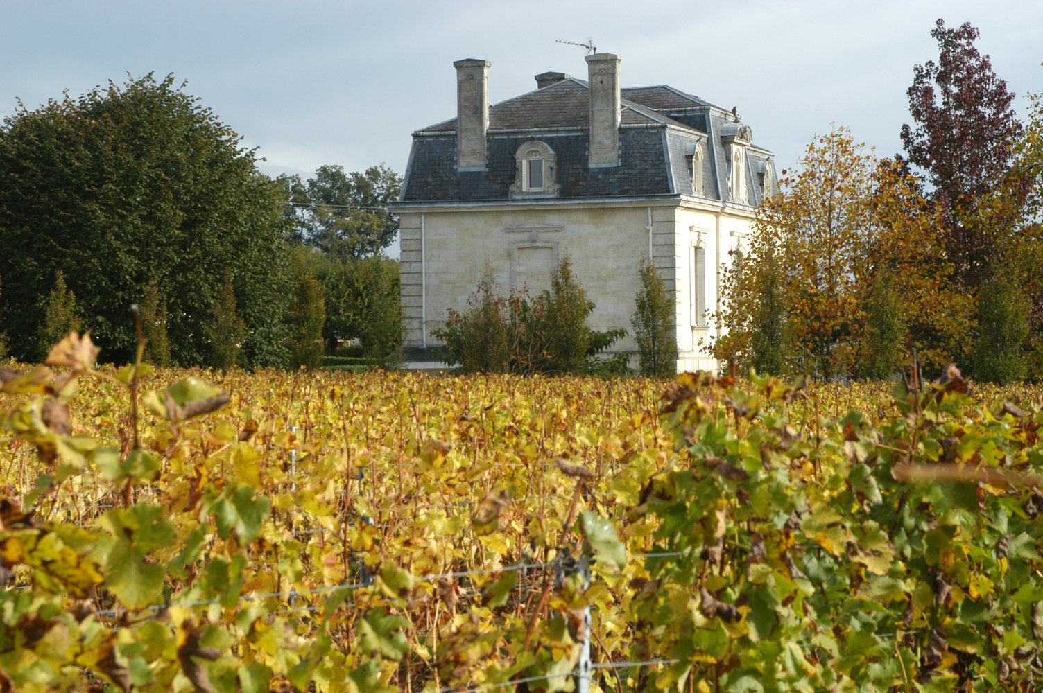 WINE INVESTMENT 菁英酒庄 投资新潜力