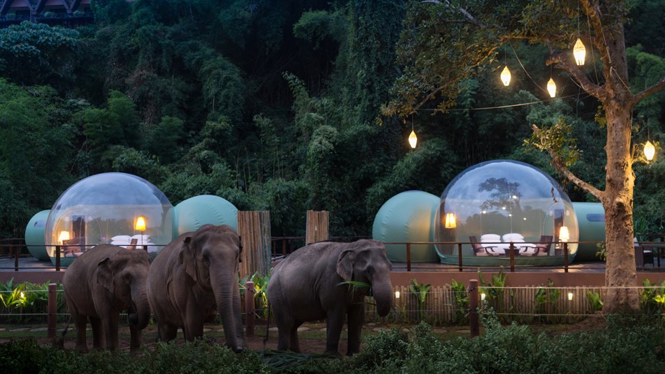 創意旅宿 - 入住泡泡屋與大象同遊