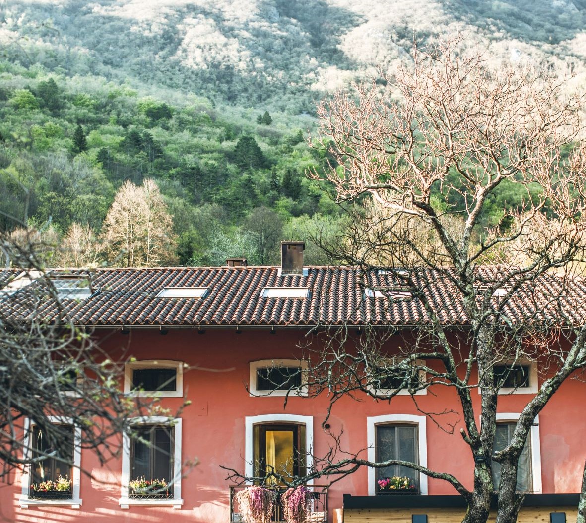 在 Hiša Franko 的粉红色建筑后，便是景色原始的高山和森林。