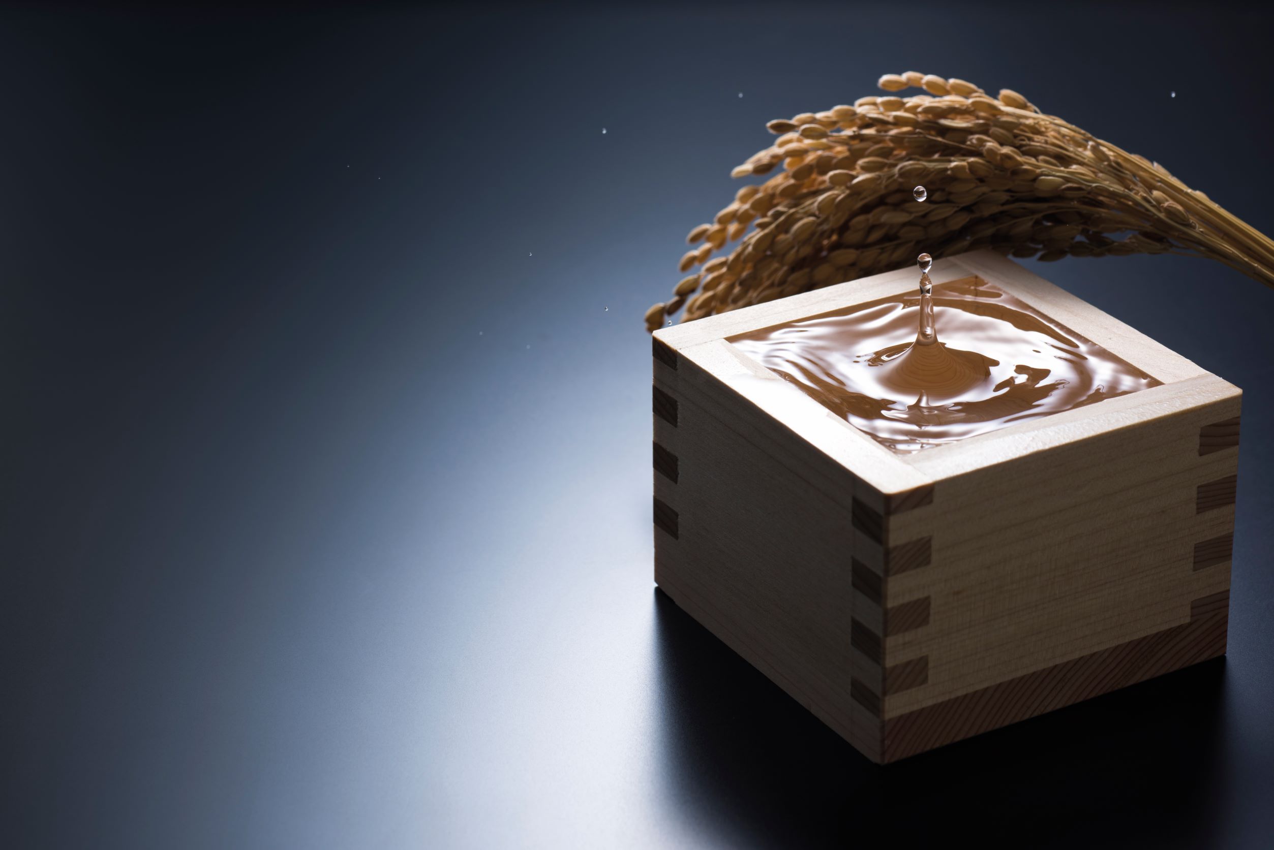 JAPANESE SAKE 日本酒的武林之巅