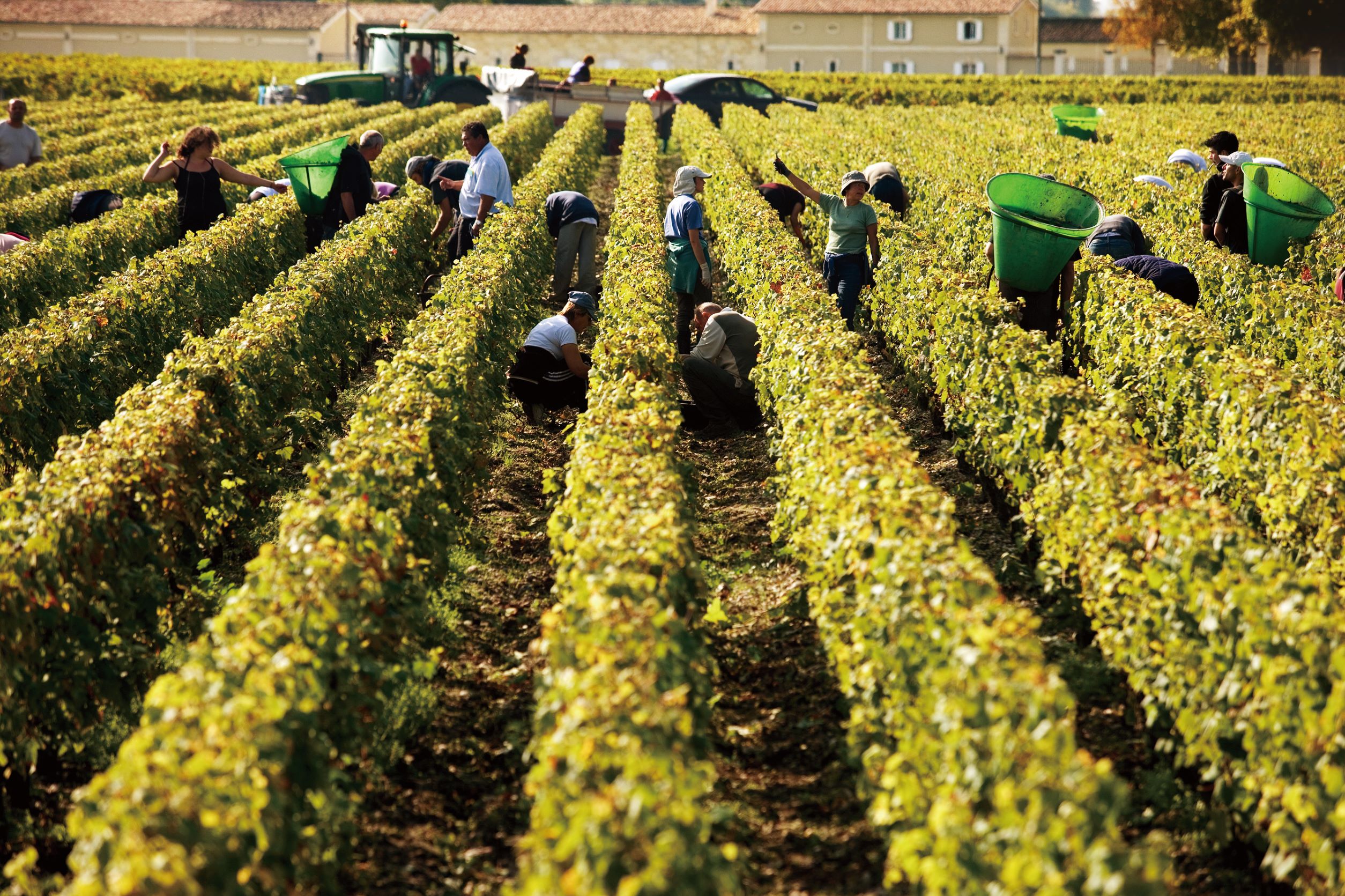 10月左右的葡萄採收期，必須動員相當多人力採收葡萄，也成了波爾多獨特浪漫的田園風光。