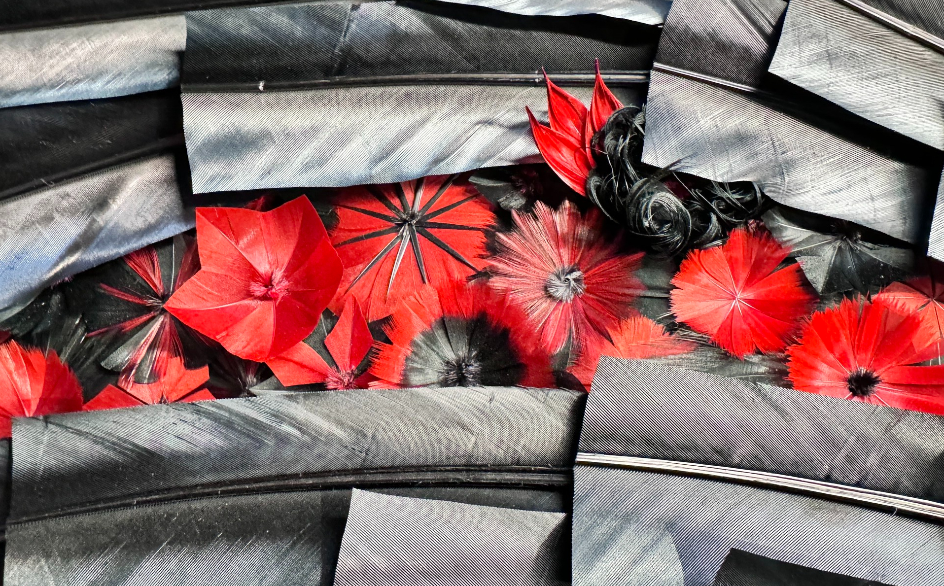 Vermeulen 偏爱黑色羽毛，因为黑羽带有金属质感，能使让作品更为鲜活。这幅《 Diptyque Nocturne 》使用纯粹的黑衬托红， 让他能更精确雕琢羽毛，并专注研究如何复制各种图形效果。 © Julien Vermeulen