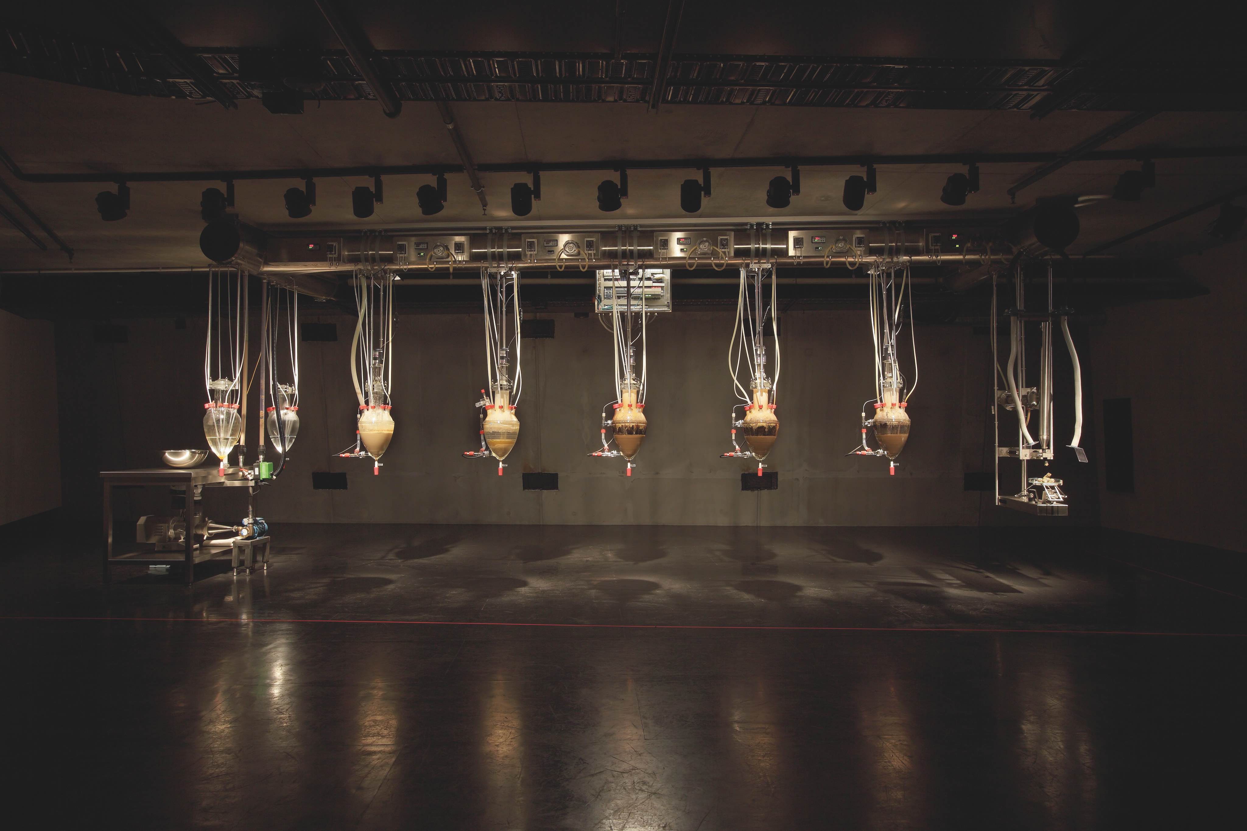 模擬人體消化排便過程的裝置藝術 Cloaca Professional，大膽挑戰藝術尺度。