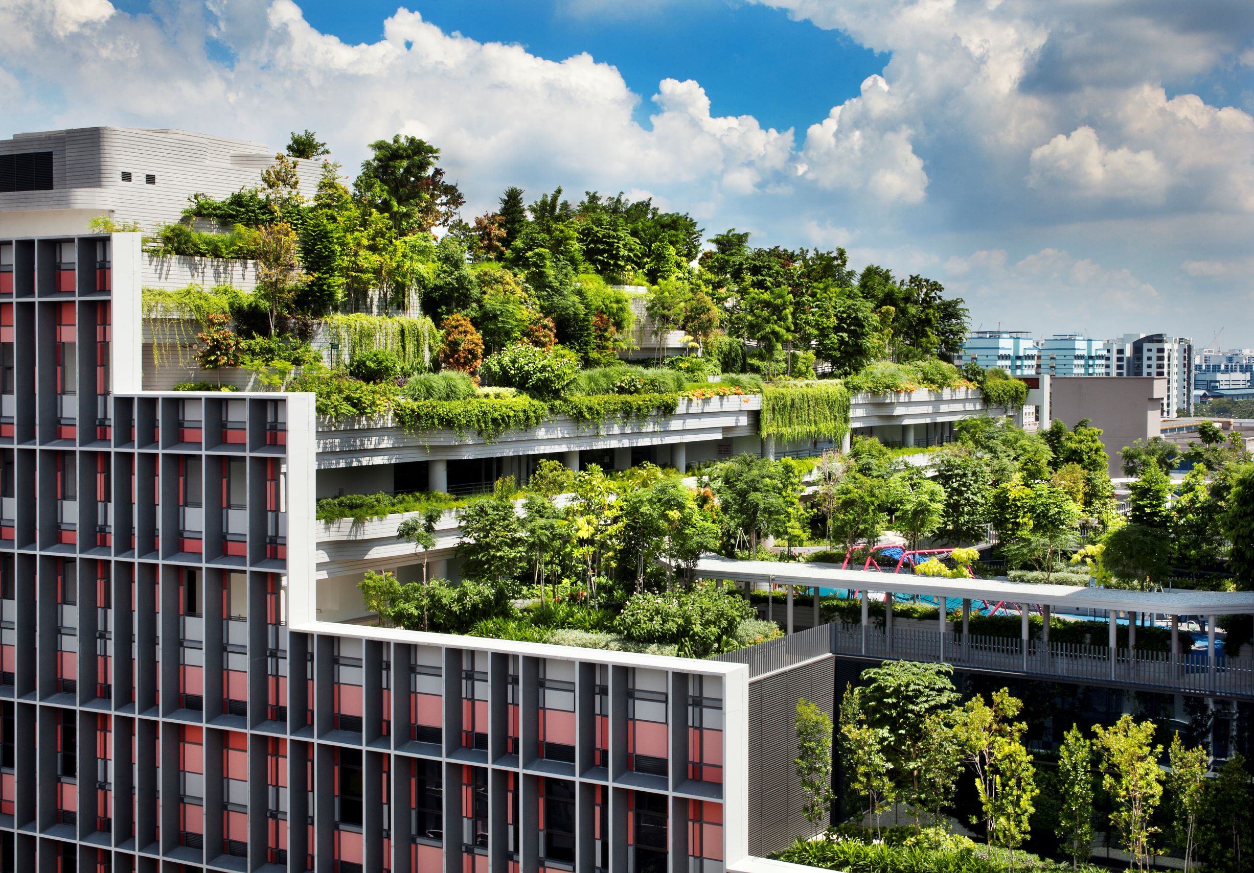 INTEGRATING WITH NATURE: Kampung Admiralty 与植物共生 - 体贴老年人的梯田式绿社区
