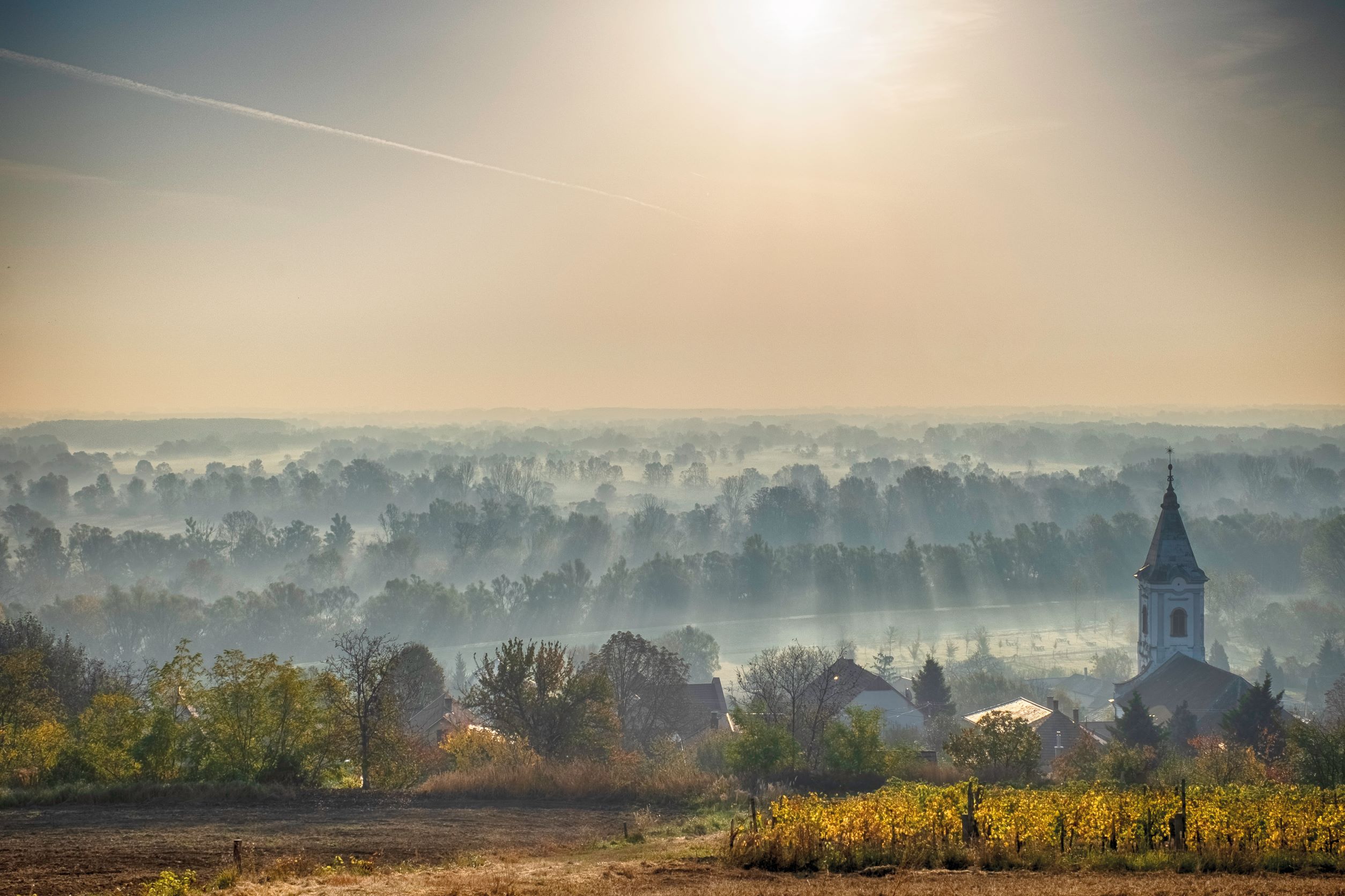 貴腐酒的葡萄產區，需要同時具有強烈日照與產生濃霧水氣的微型氣候，才能讓貴腐菌生長。