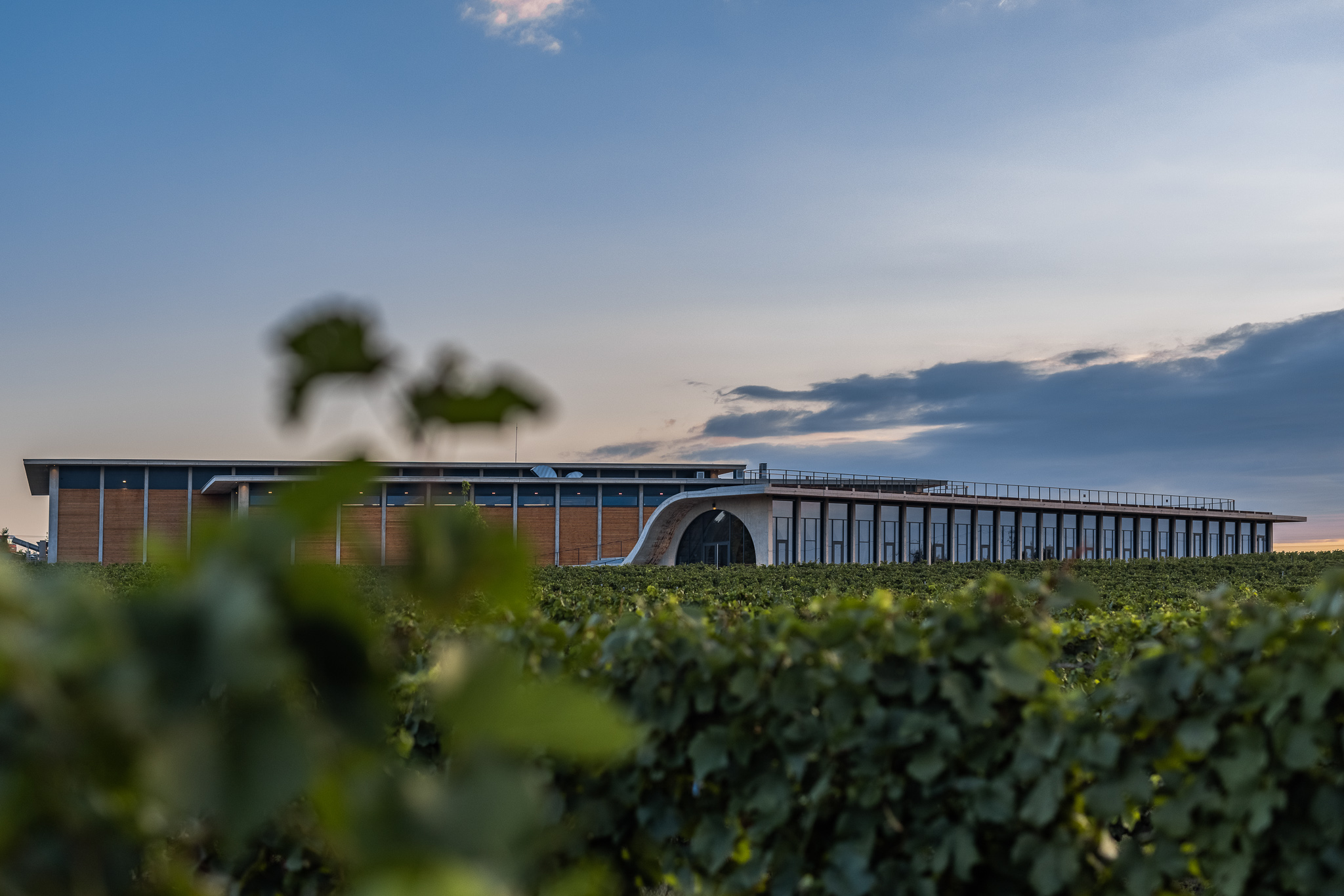 以葡萄園中的浪潮為 Lahofer Winery 的設計概念。
