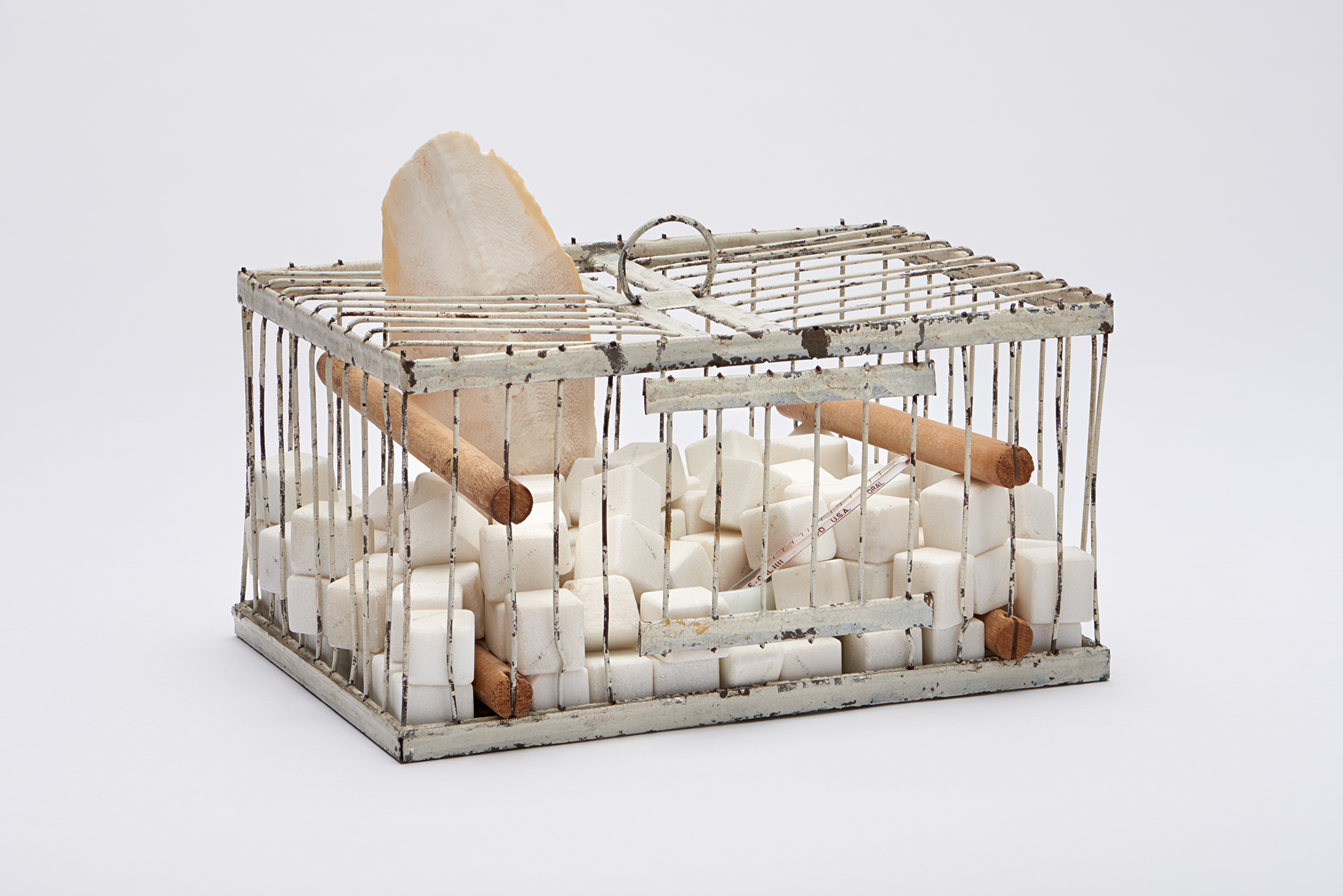 現代藝術守護神