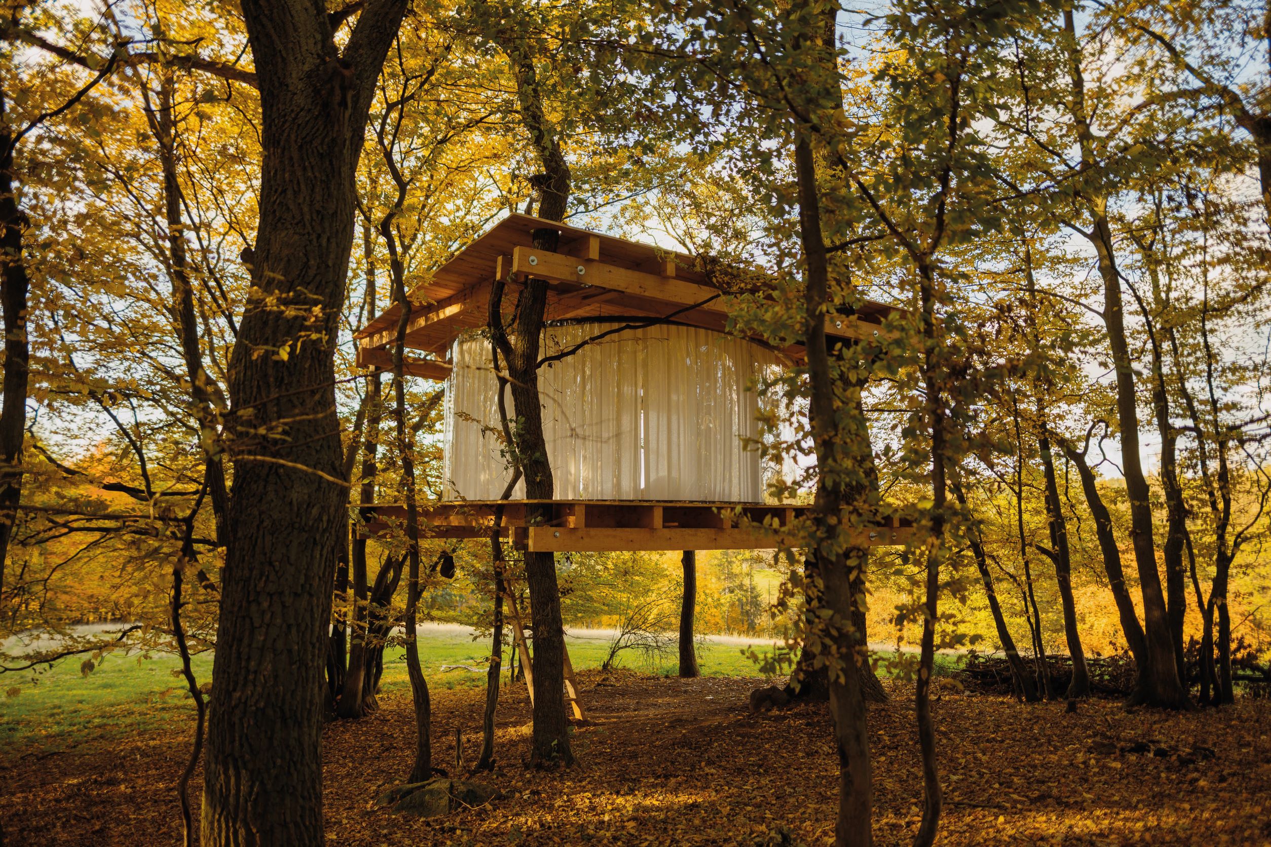 MODERN TREE HOUSES:  TREEHOUSE IN HRUSICE 新概念梦幻树屋 - 360 度全景透明树屋