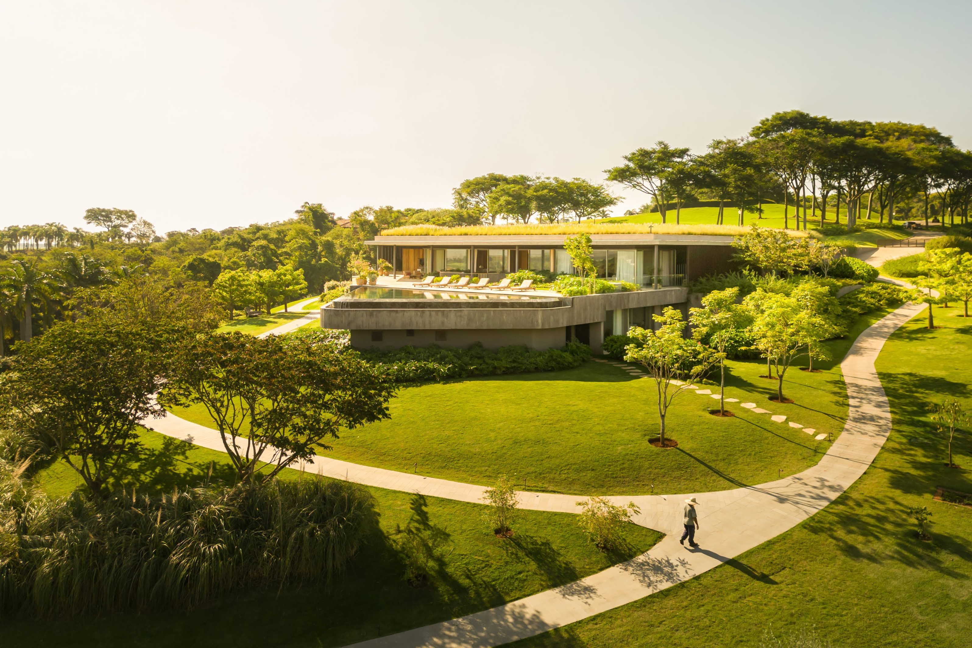 Hidden Green Gem 与自然浑然一体的森林建筑