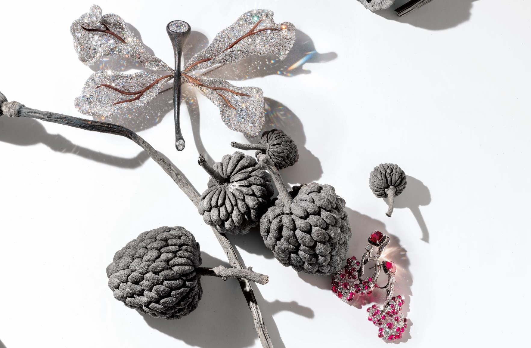 Cindy Chao The Art Jewel White Label 高級珠寶系列 15 週年系列蜻蜓胸針。Chaumet Les Mondes de Chaumet 系列。Chant du Printemps 耳環莫三比克鴿血紅紅寶石耳環。