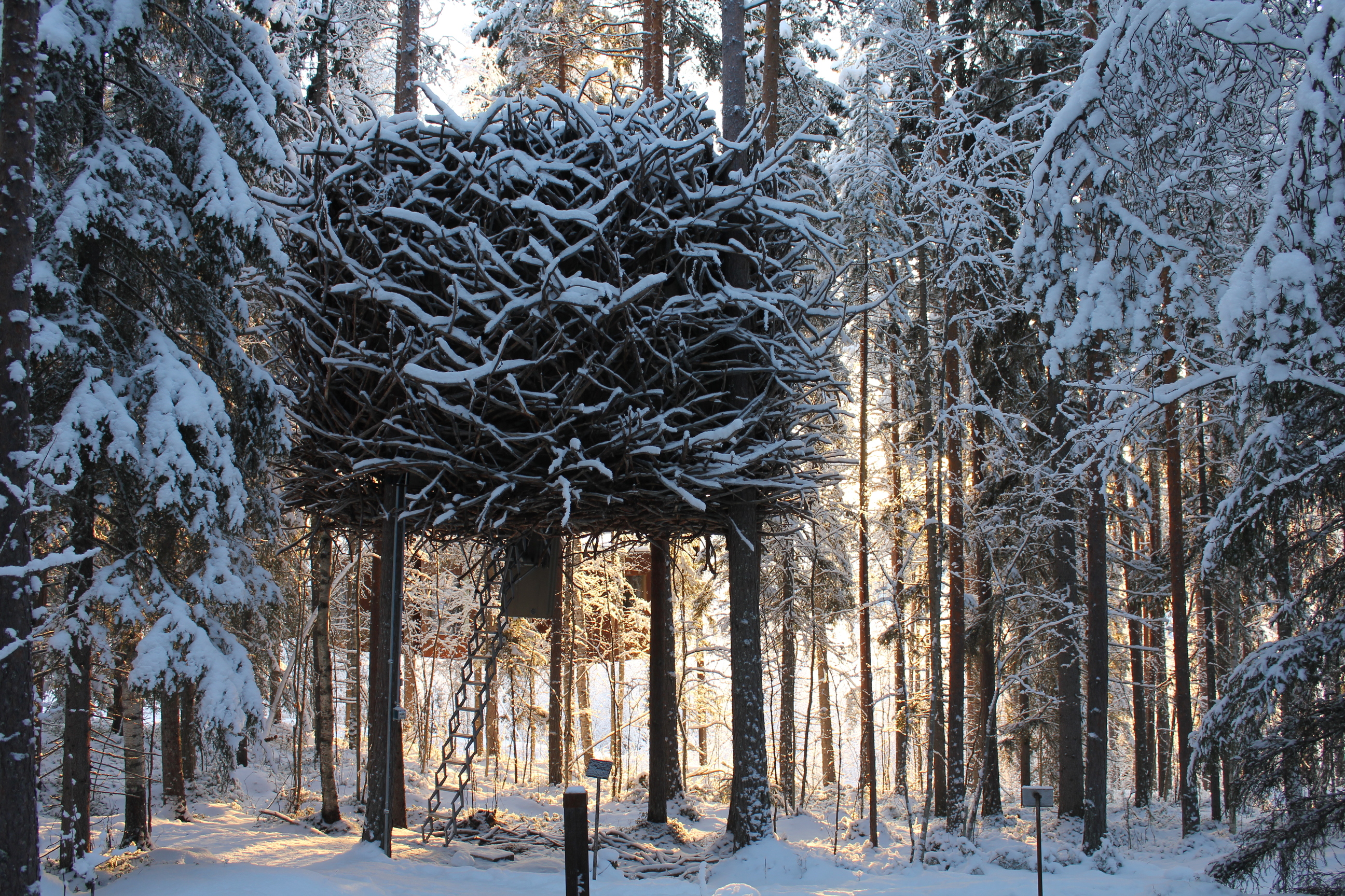 DISCOVER UNUSUAL PLACES TO STAY:  Treehotel 创意旅宿 - 北欧森林个性树屋