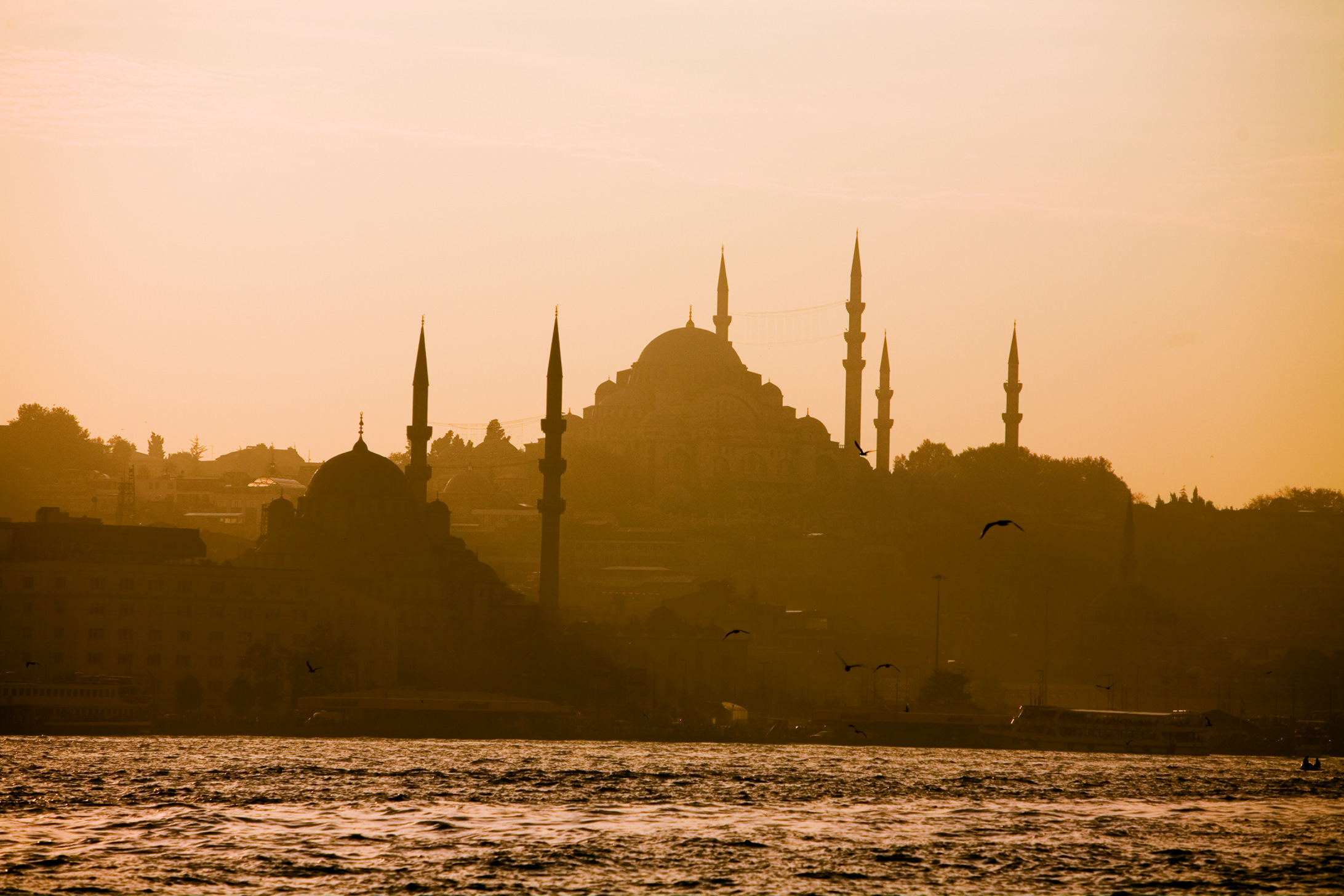 沐浴在夕阳下的蓝色清真寺。 （ © Richard Waite/ Four Seasons ）