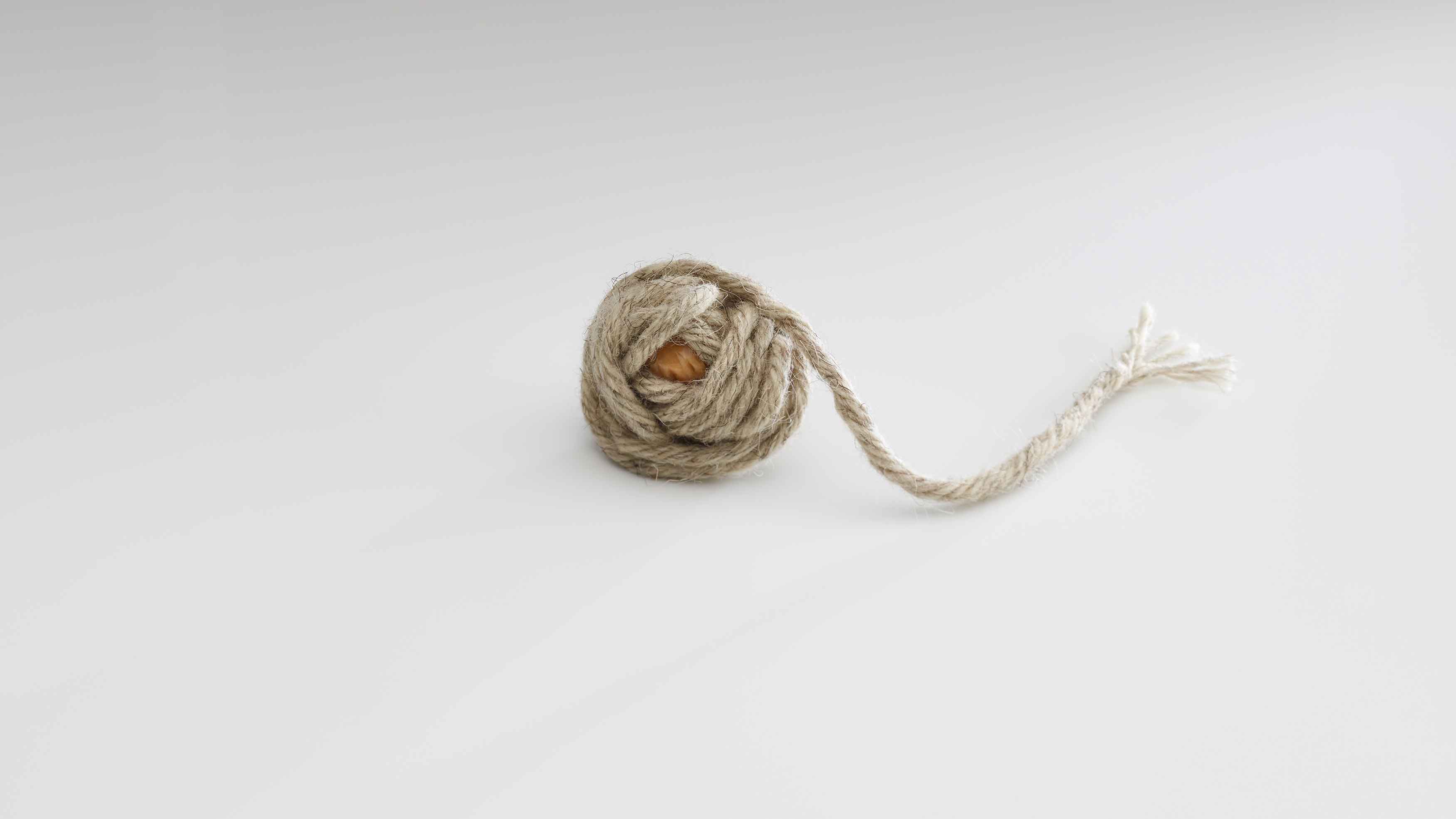 以毛线捆起的「糖果麸质球 Candy : Gluten Ball」，是一道引发人们好奇心的新料理。 （© José Luis López de Zubiría）