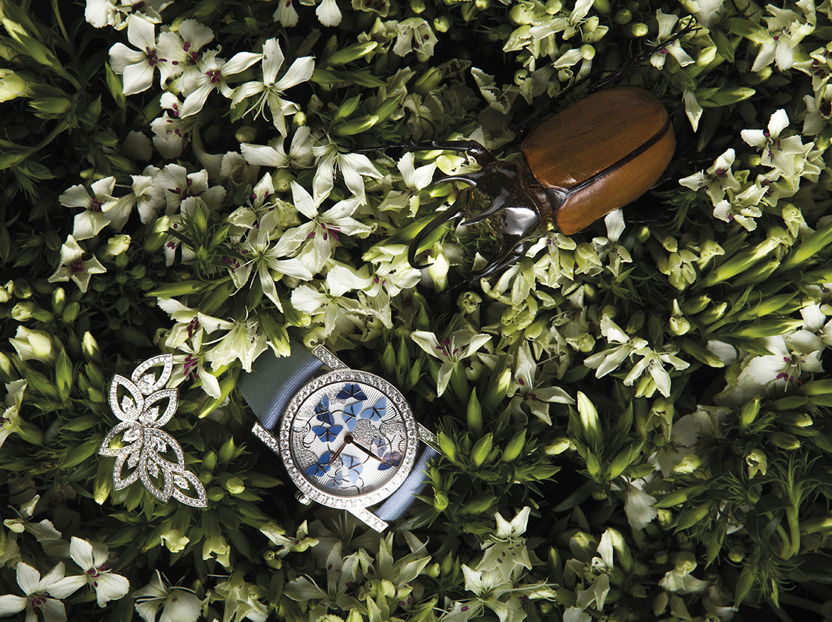 Attrape-moi 頂級工藝珠寶藍蝶錶， CHAUMET 。 Cluster 系列鑽石胸針，HARRY WINSTON 。