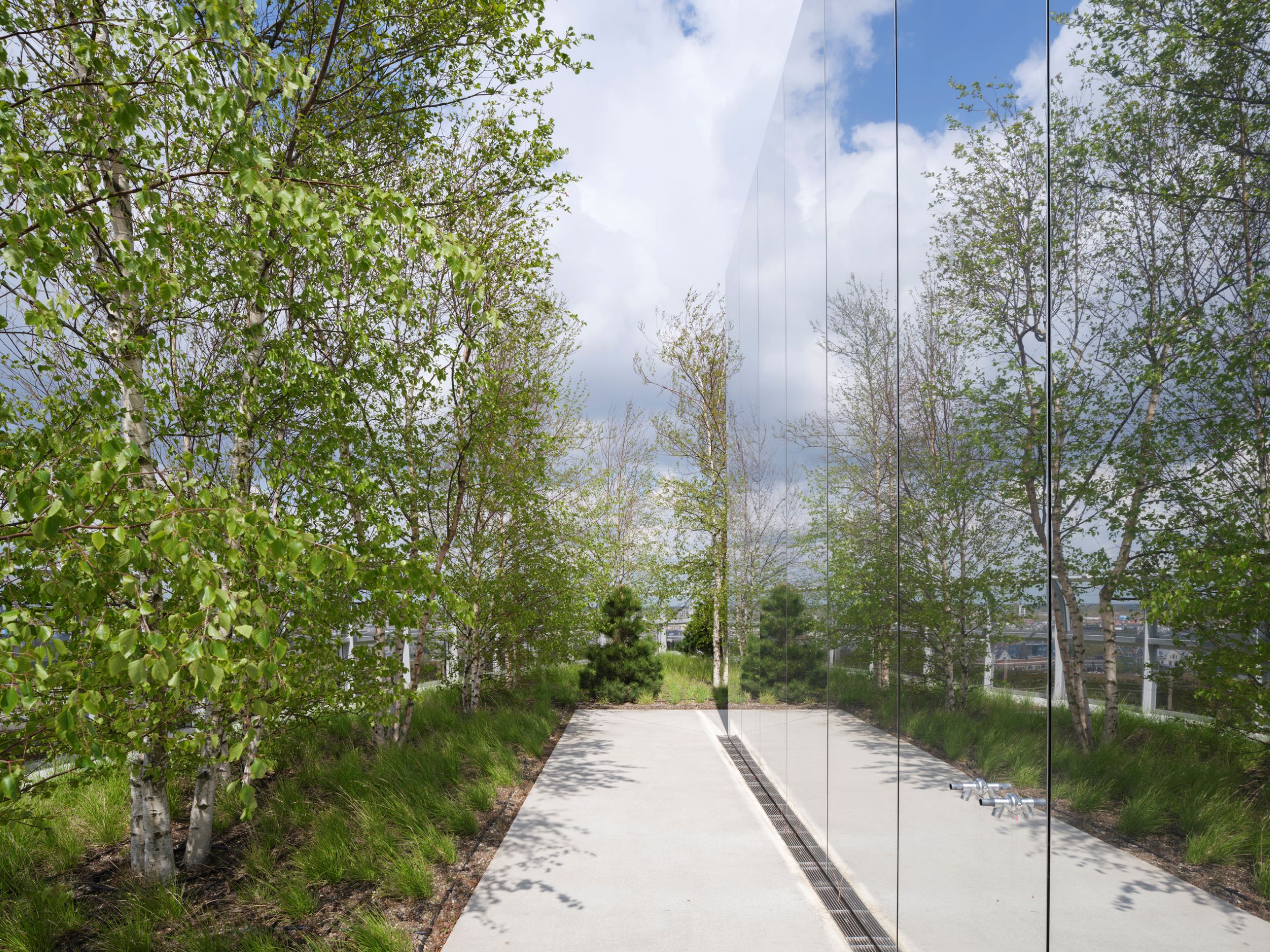 在 Depot Boijmans Van Beuningen 屋顶上也特别打造了一座空中森林。 ( © Ossip van Duivenbode )