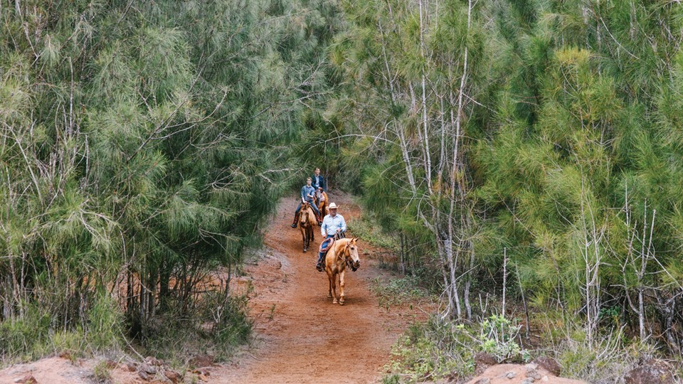 不論是騎馬拜訪舊時在拉奈島高地上的牧場，又或是騎馬漫步林間小徑，都能感受到一種懷舊又奢華的旅行體驗。