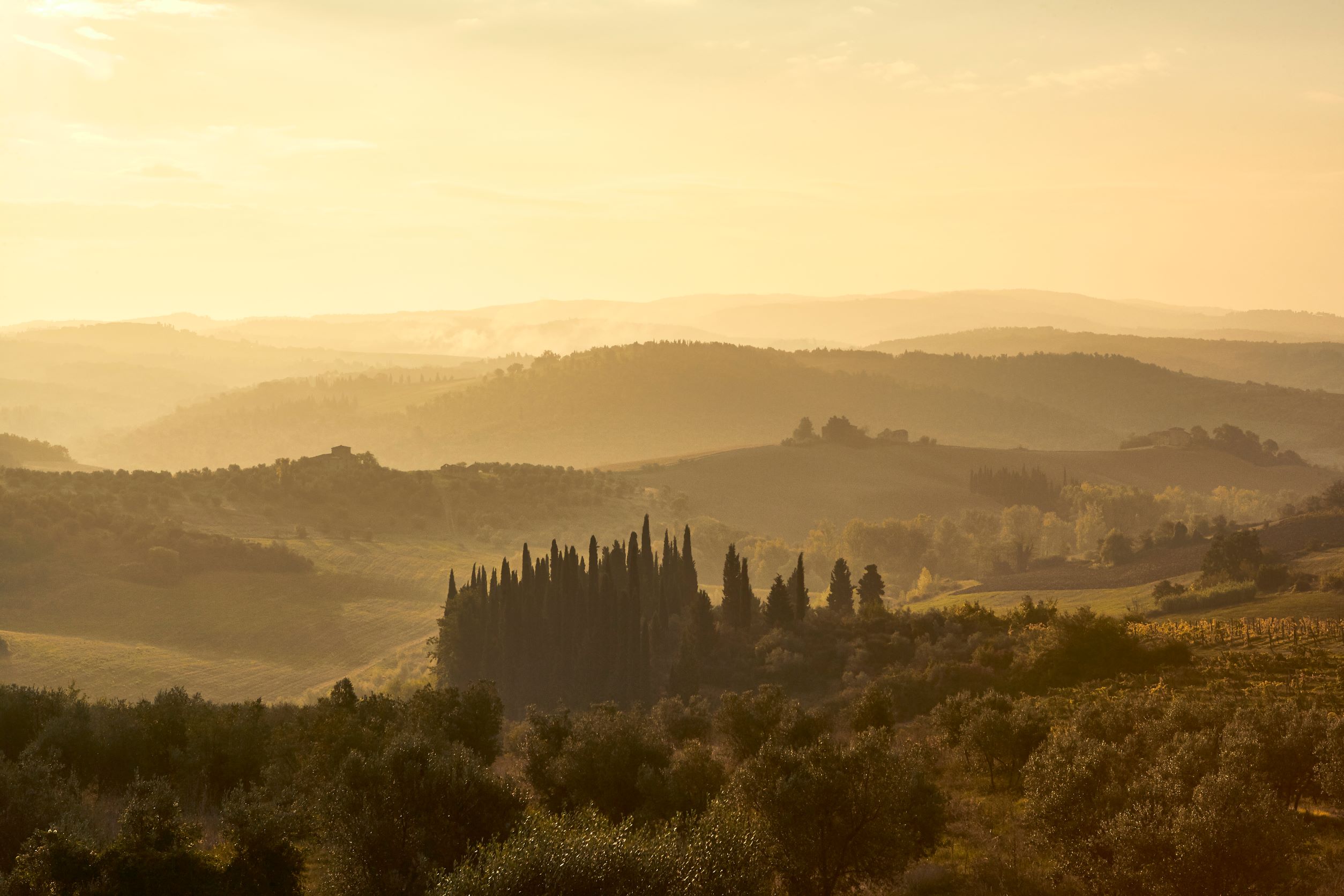 COMO Castello Del Nero 周边令人着迷的绝美风光。