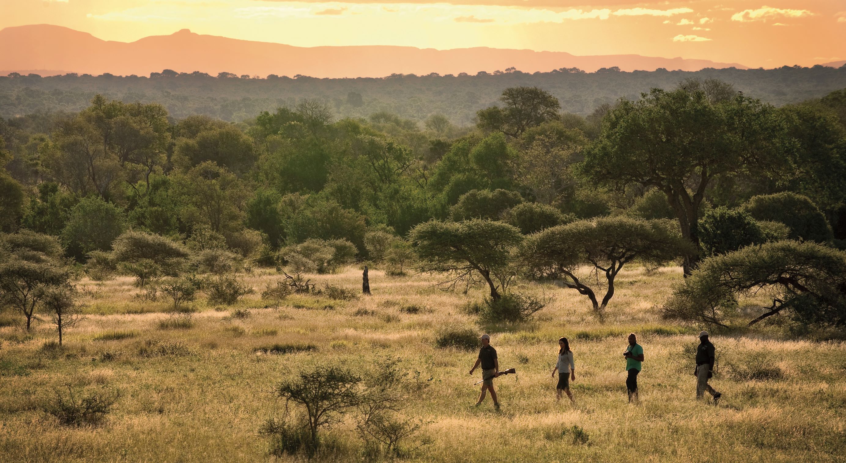 Lion Sands 的徒步獵遊行程，能讓遊客更深入探索迷人的非洲草原生態。