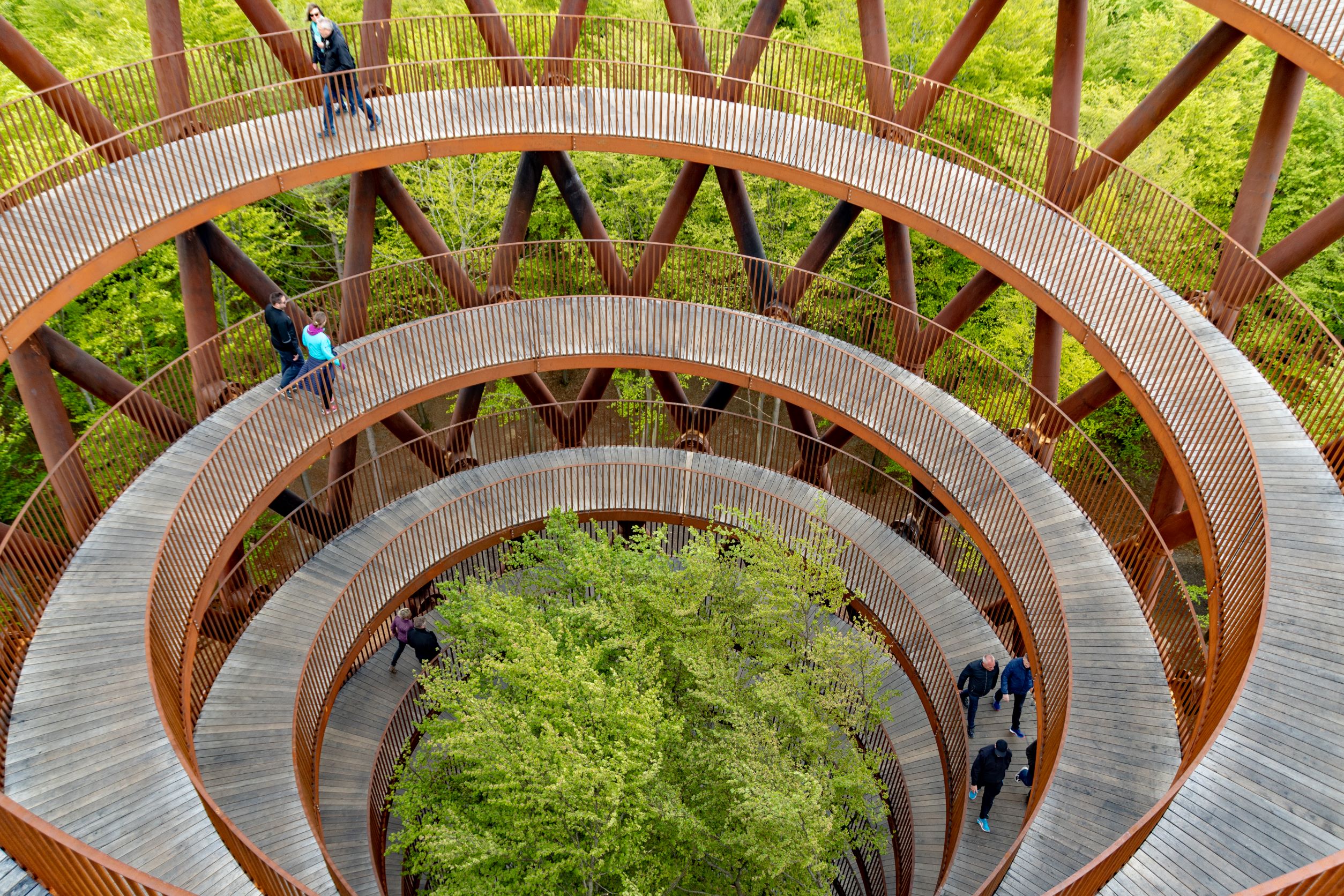 旋轉向上的木棧步道，讓民眾能享有 360 度的賞景視野。