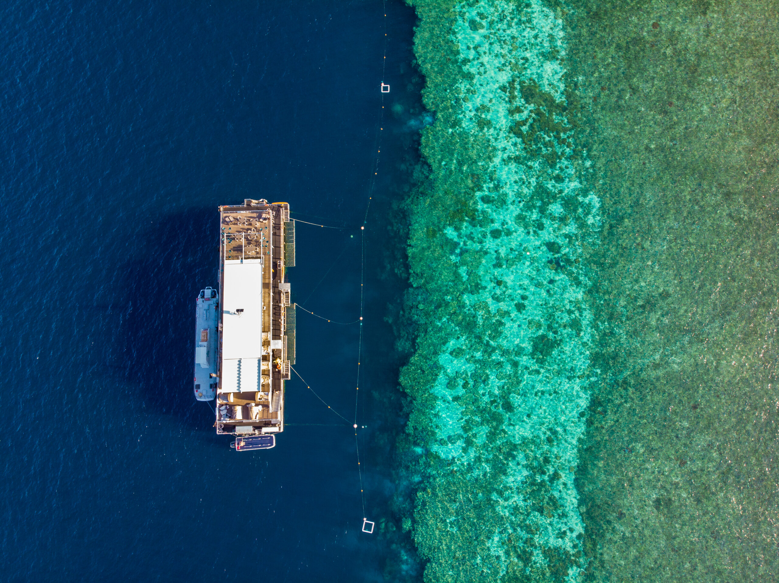 位於大堡礁上的 Reefworld 漂浮旅館，提供有私人導遊潛水行程。