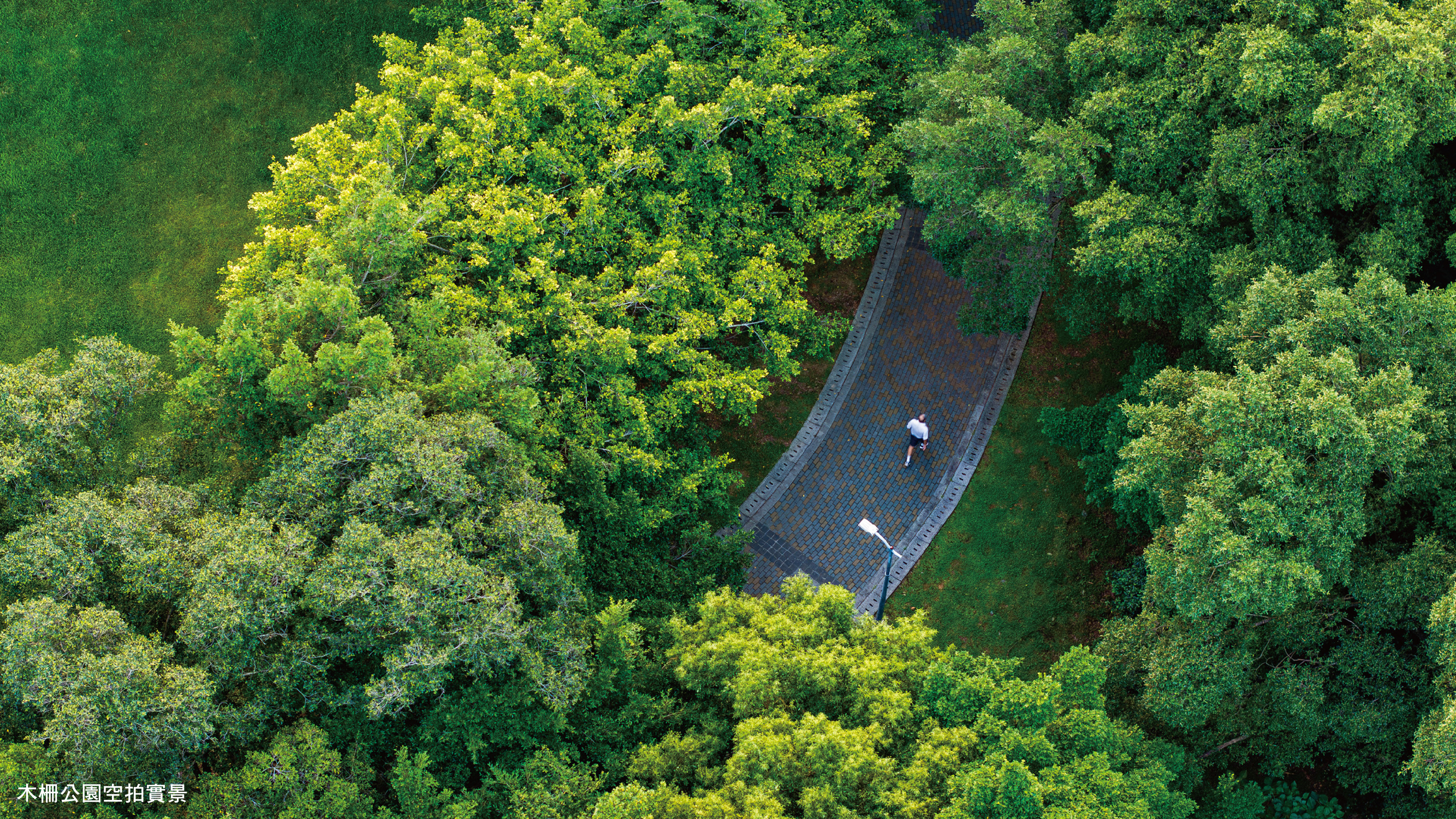社區內有三處步道入口直通木柵公園,真正實現與綠意為鄰的理想生活。