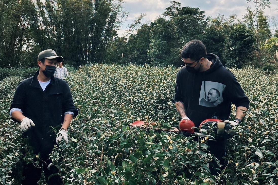 茶酒共融 煙燻飄香