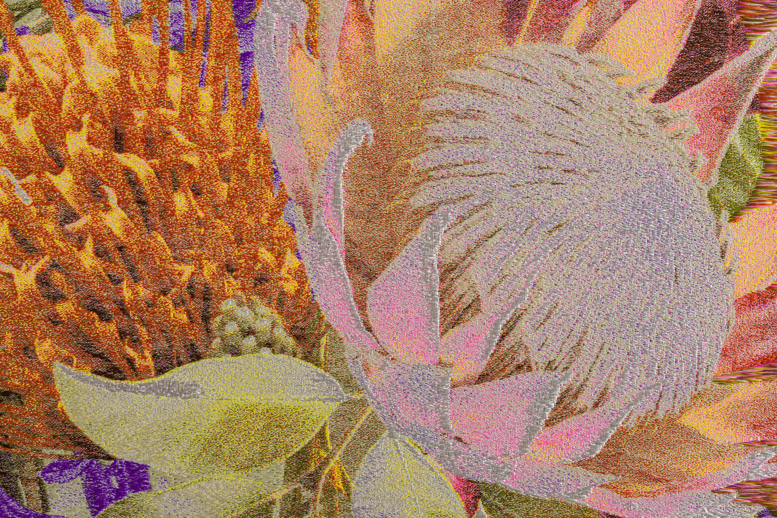 The Art of Living Together 中的《太陽鳥與熱帶花卉 1.0》，藉由紡織計法詮釋出不同物種的色彩。