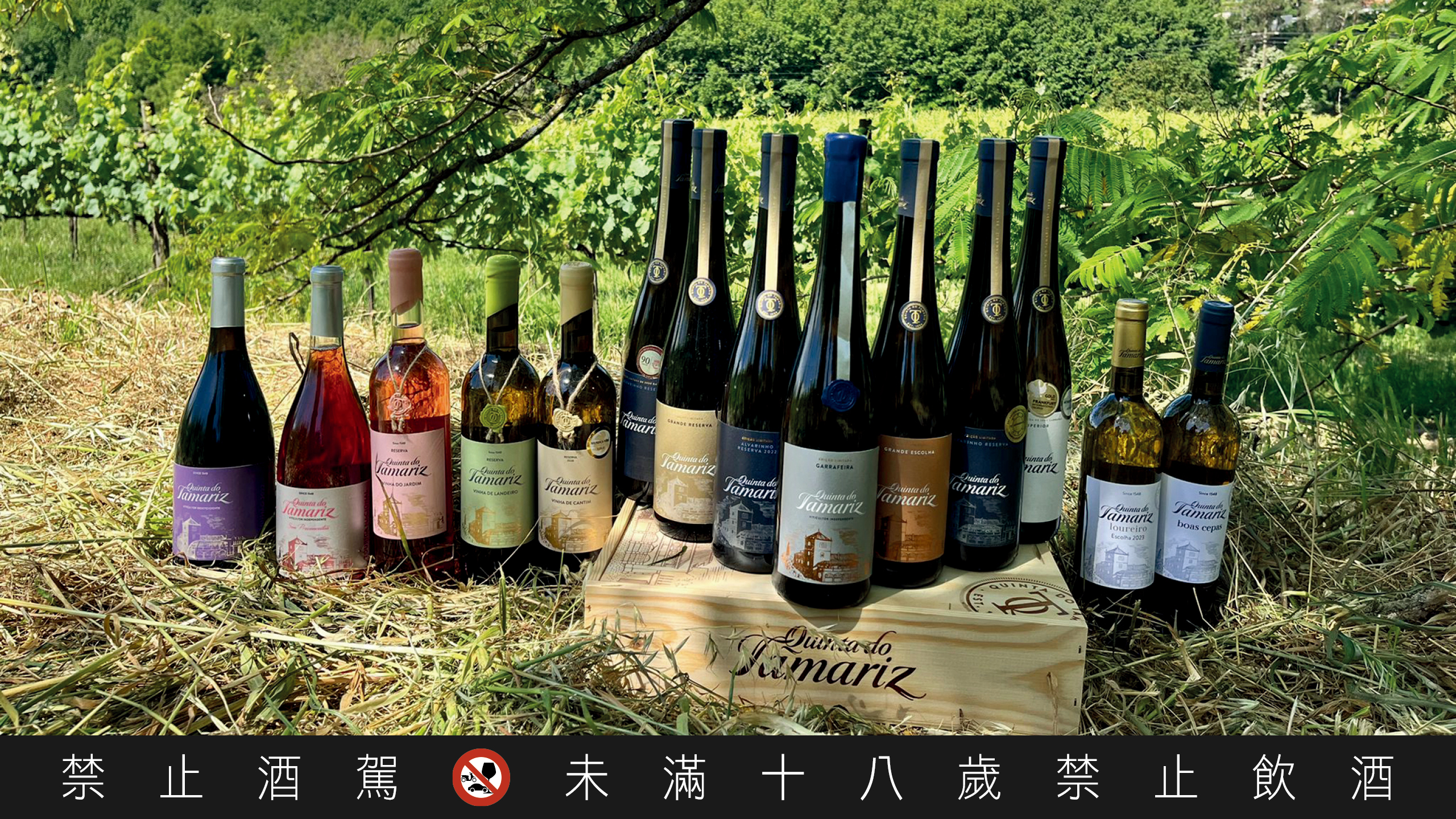 Quinta do Tamariz 的酒具有清新风格，酸度适中，是非常适合户外野餐的酒款。