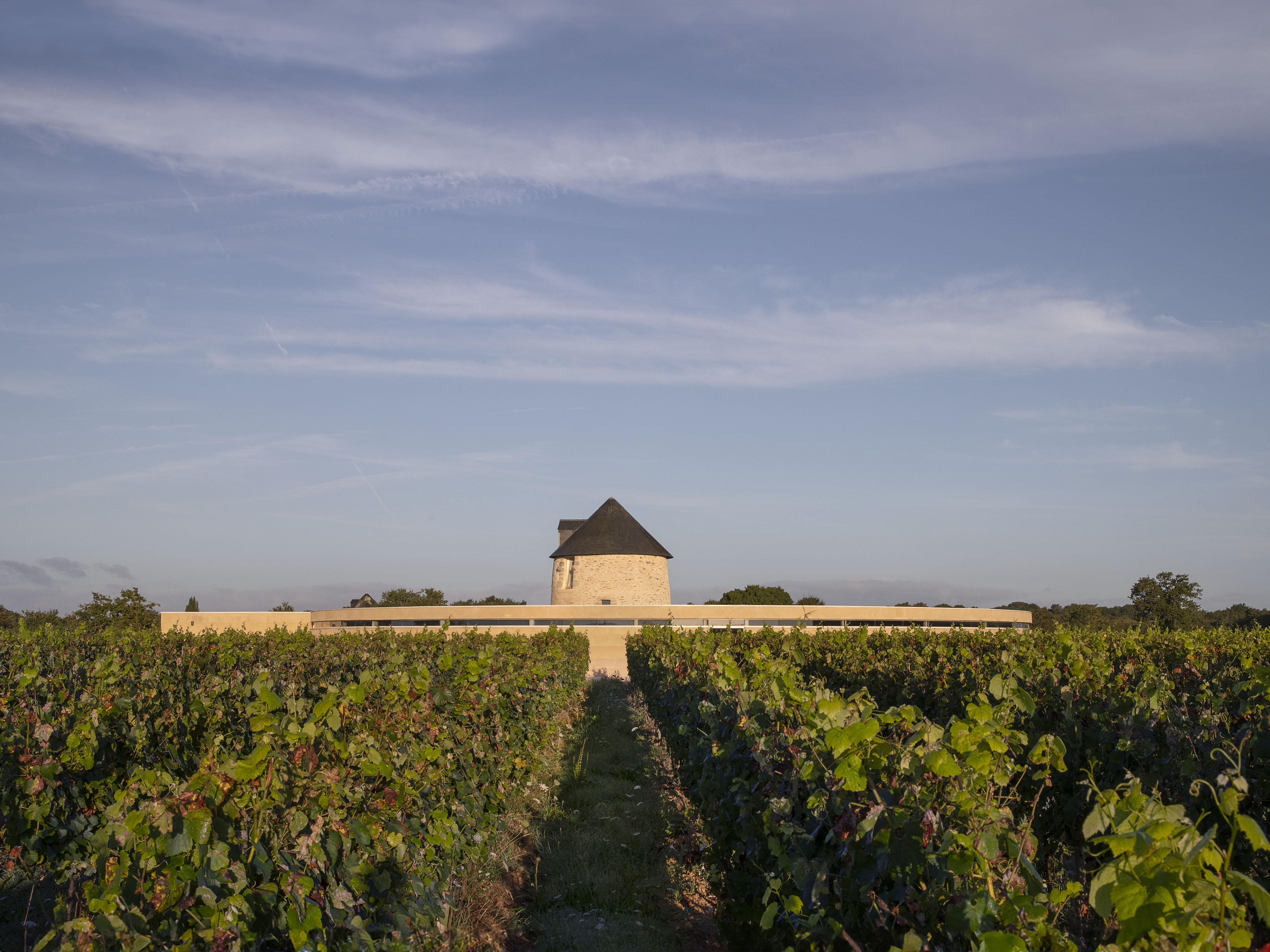 極簡又充滿現代感的 Wine Storehouse 圓形幾何設計。