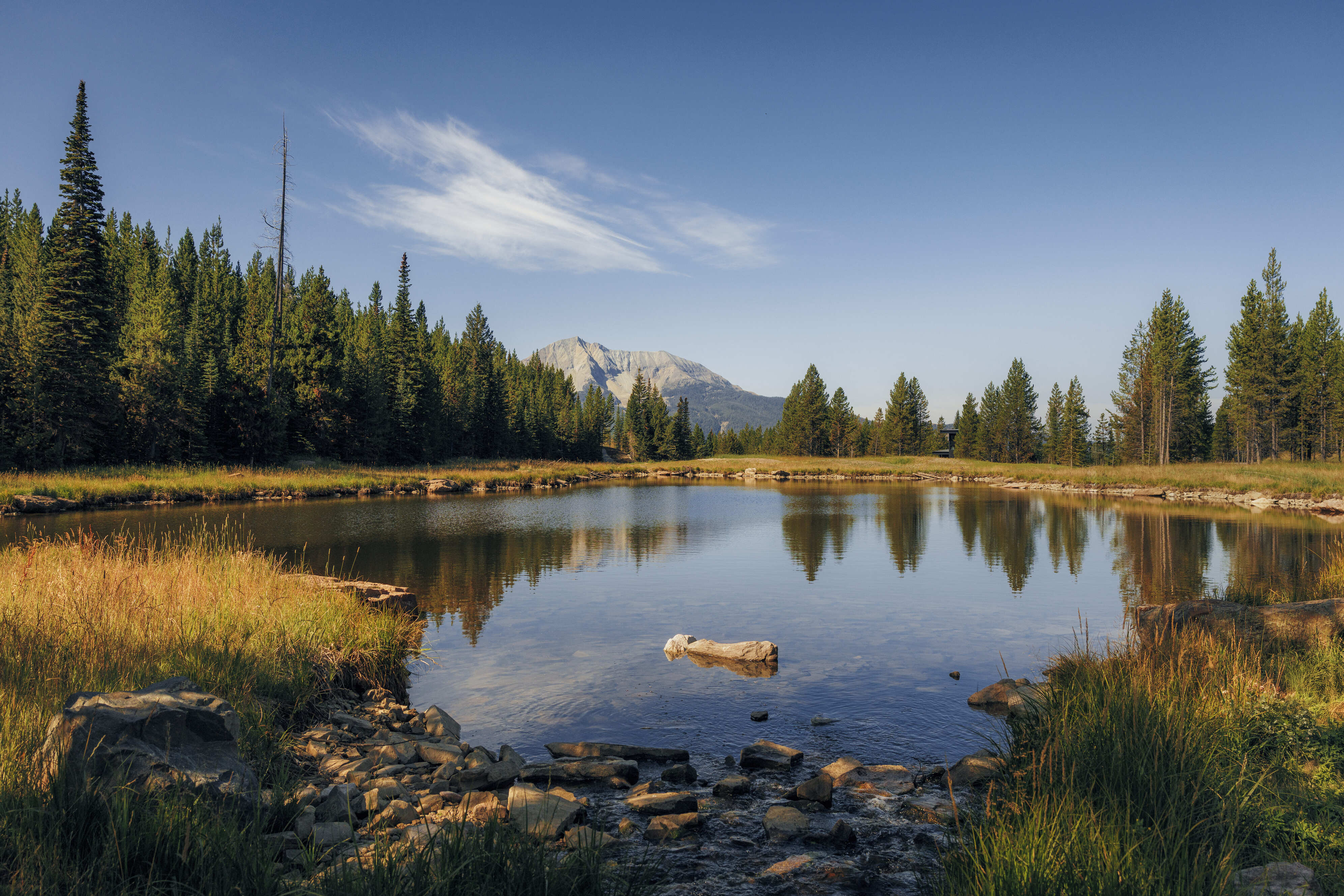 戀戀綠色好萊塢
