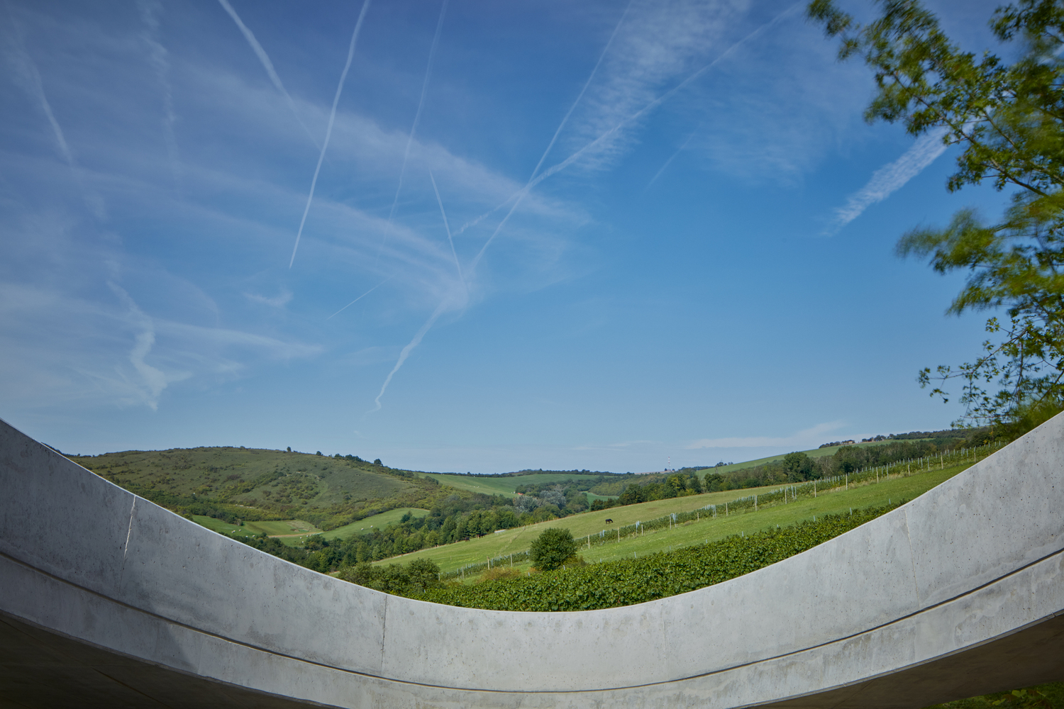 Gurdau Winery 如同山洞般的圓弧形開口。