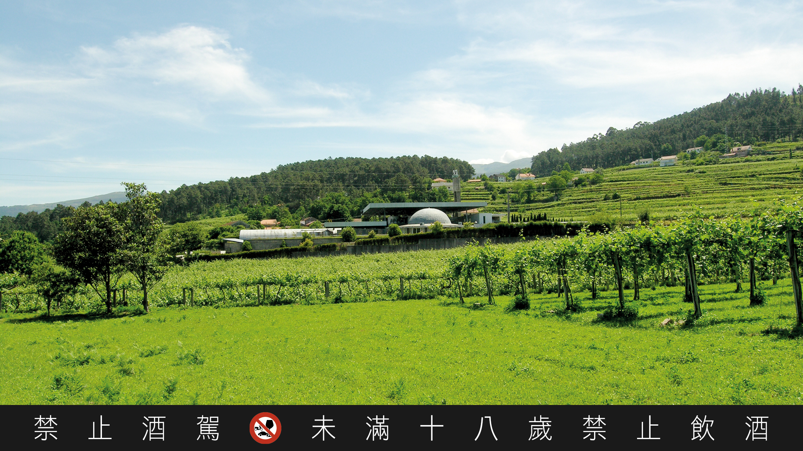 Melgaço 地区地貌丰富，造就多变的微型气候。