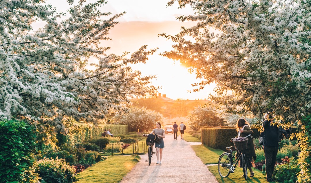 夏季繁花盛開的 King's Garden，是哥本哈根市民最愛的散步休閒去處。